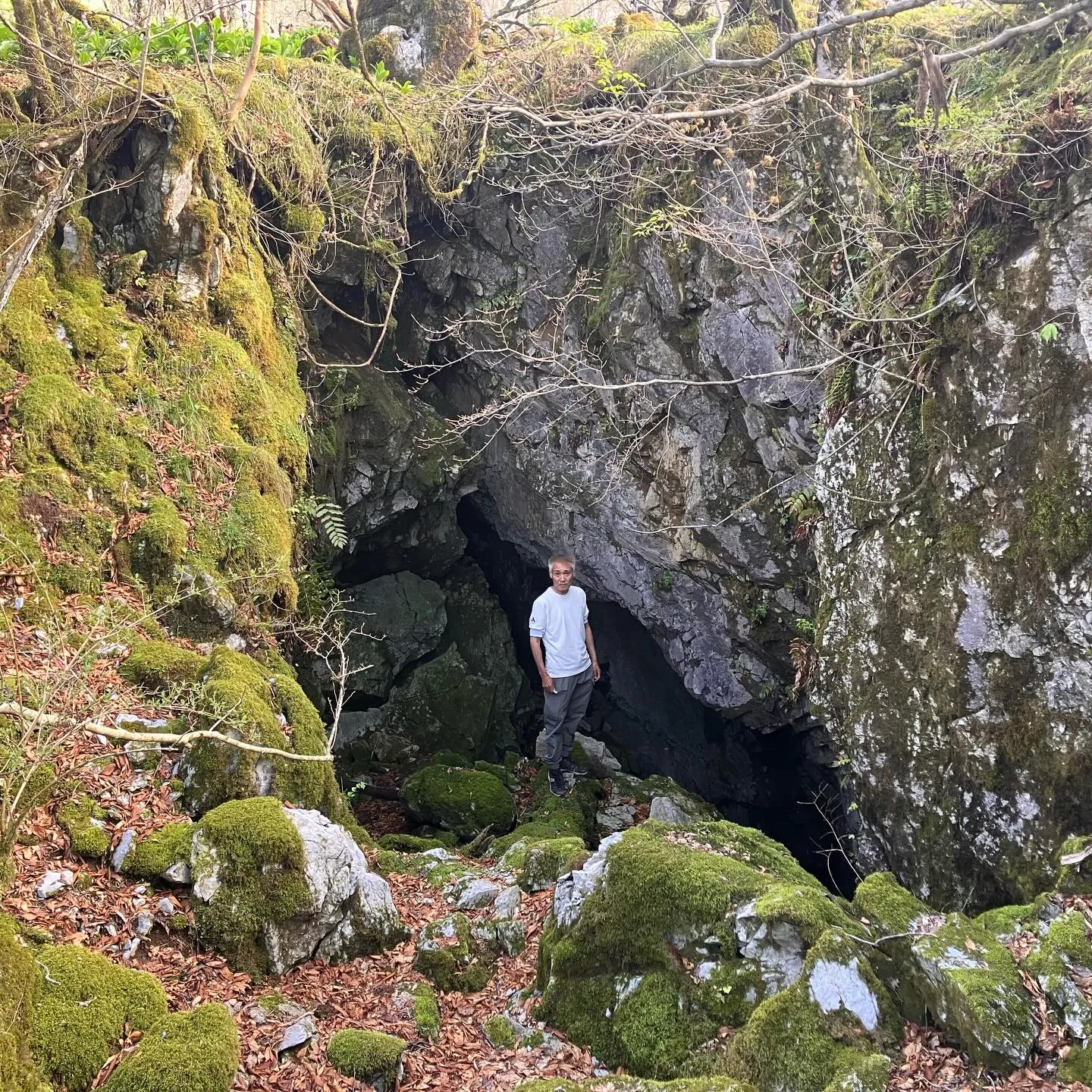 九州脊梁の大自然を満喫しませんか？