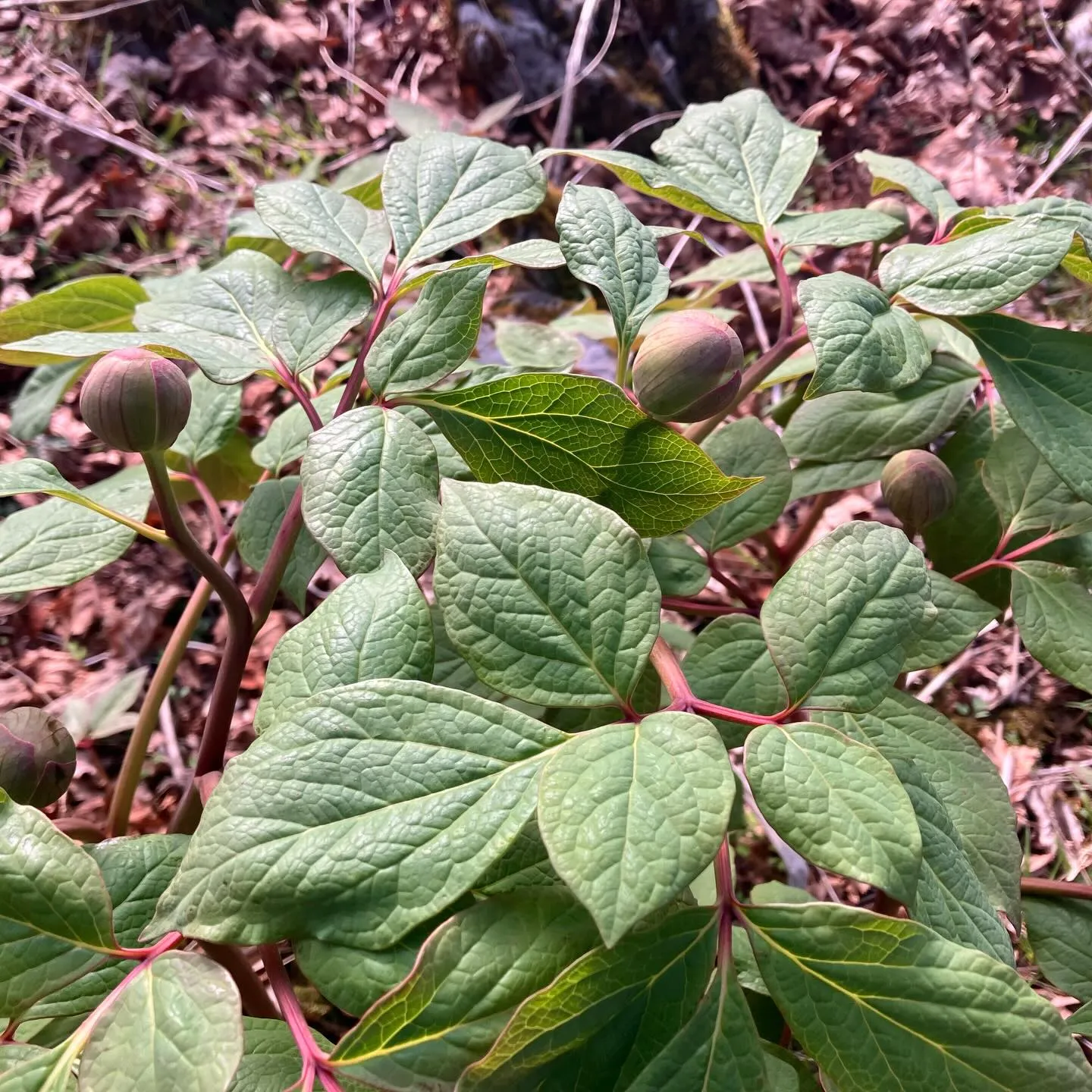 九州脊梁の大自然を満喫しませんか？