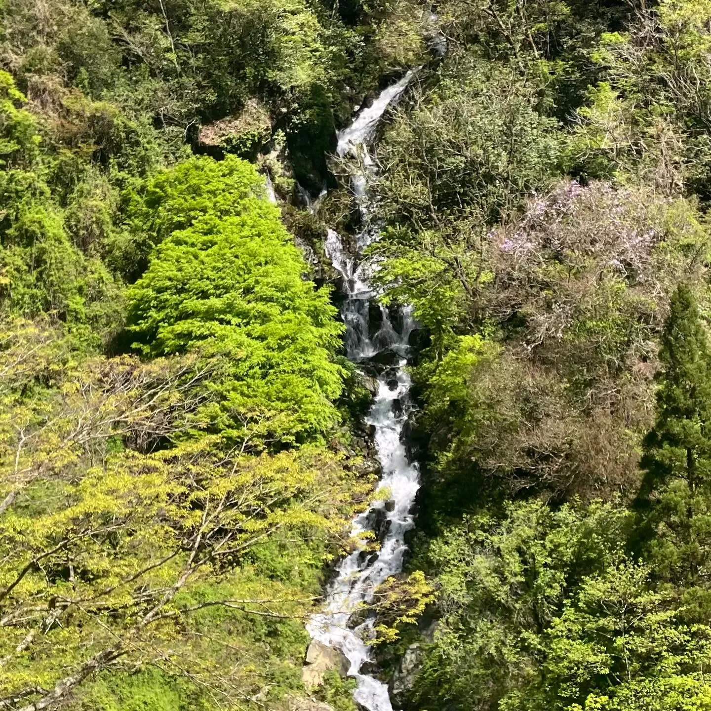 九州山地は滝好きにはたまらないスポットが満載！🌿✨