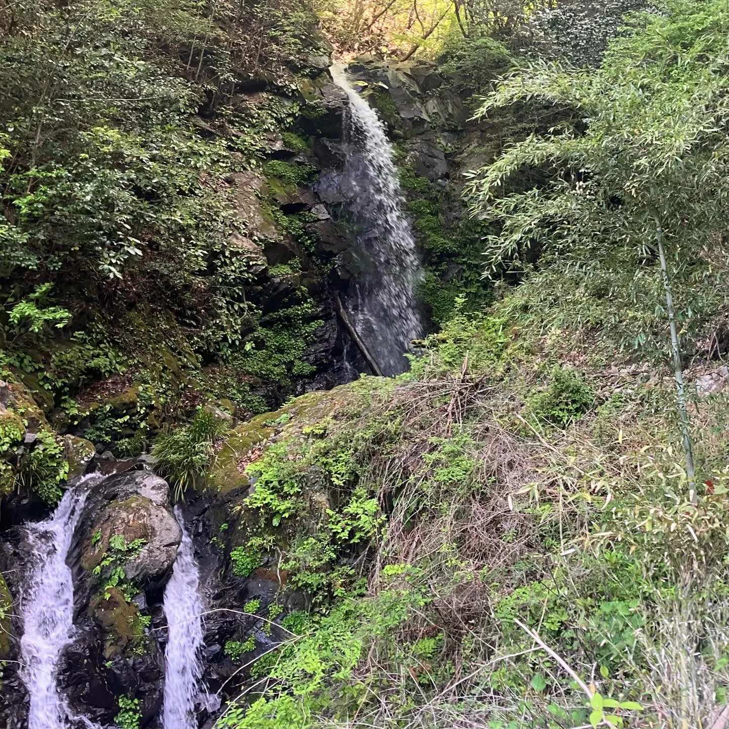 九州山地は滝好きにはたまらないスポットが満載！🌿✨
