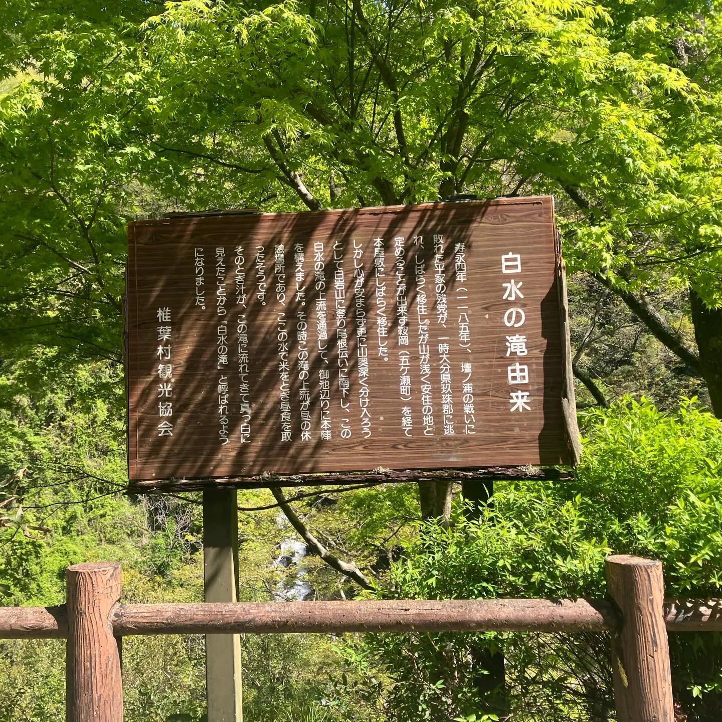 九州山地は滝好きにはたまらないスポットが満載！🌿✨