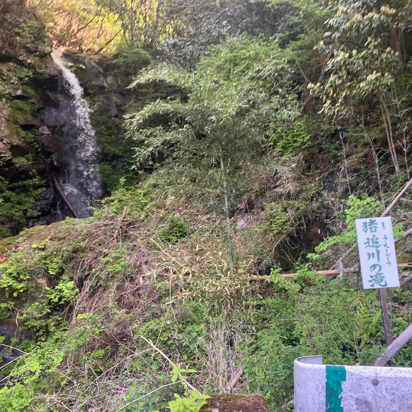 九州山地は滝好きにはたまらないスポットが満載！🌿✨