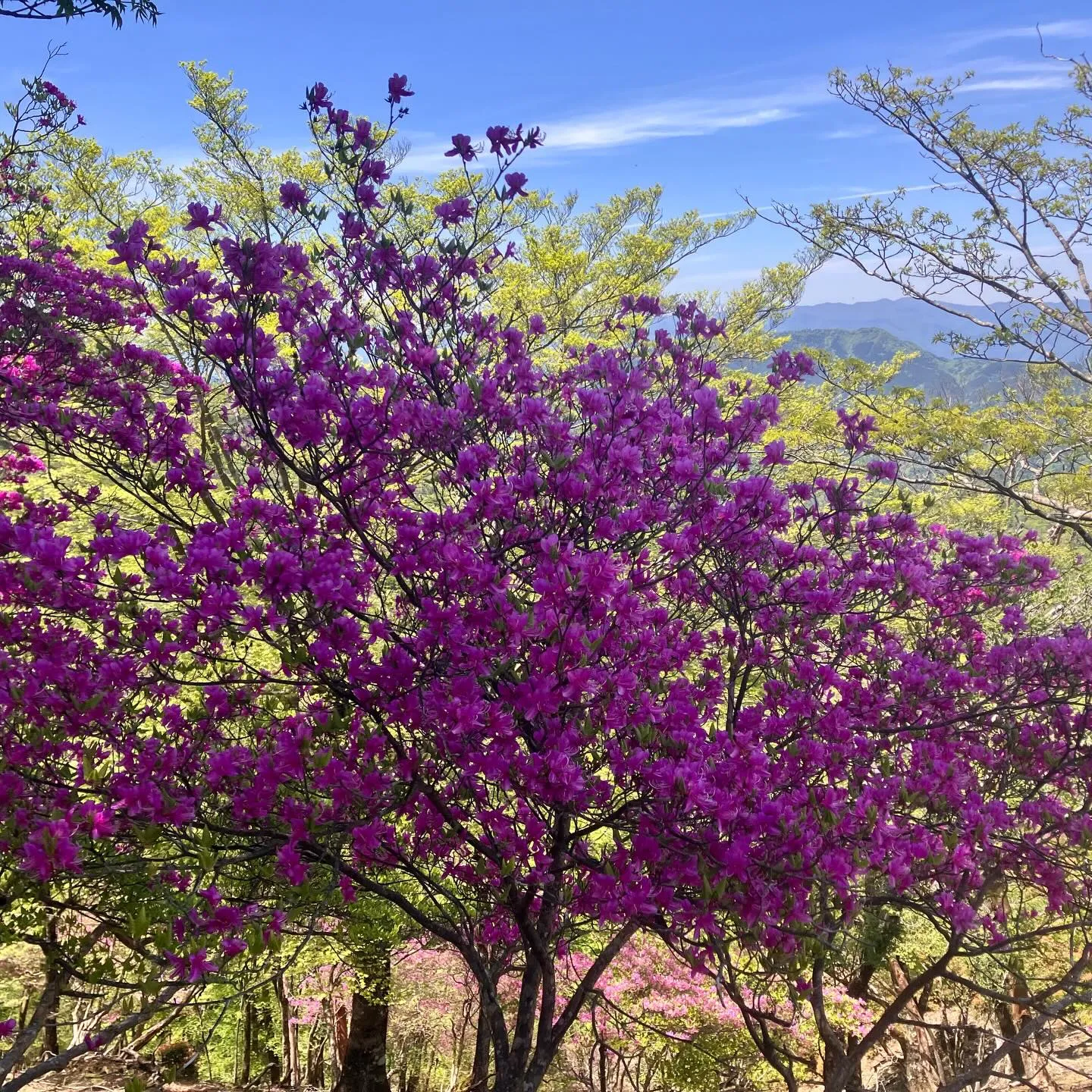 九州の奥地へ探検に出発しませんか？⛰️