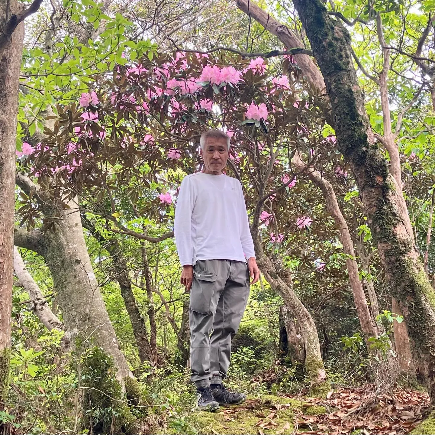 新緑の季節🍃山歩き日和です!