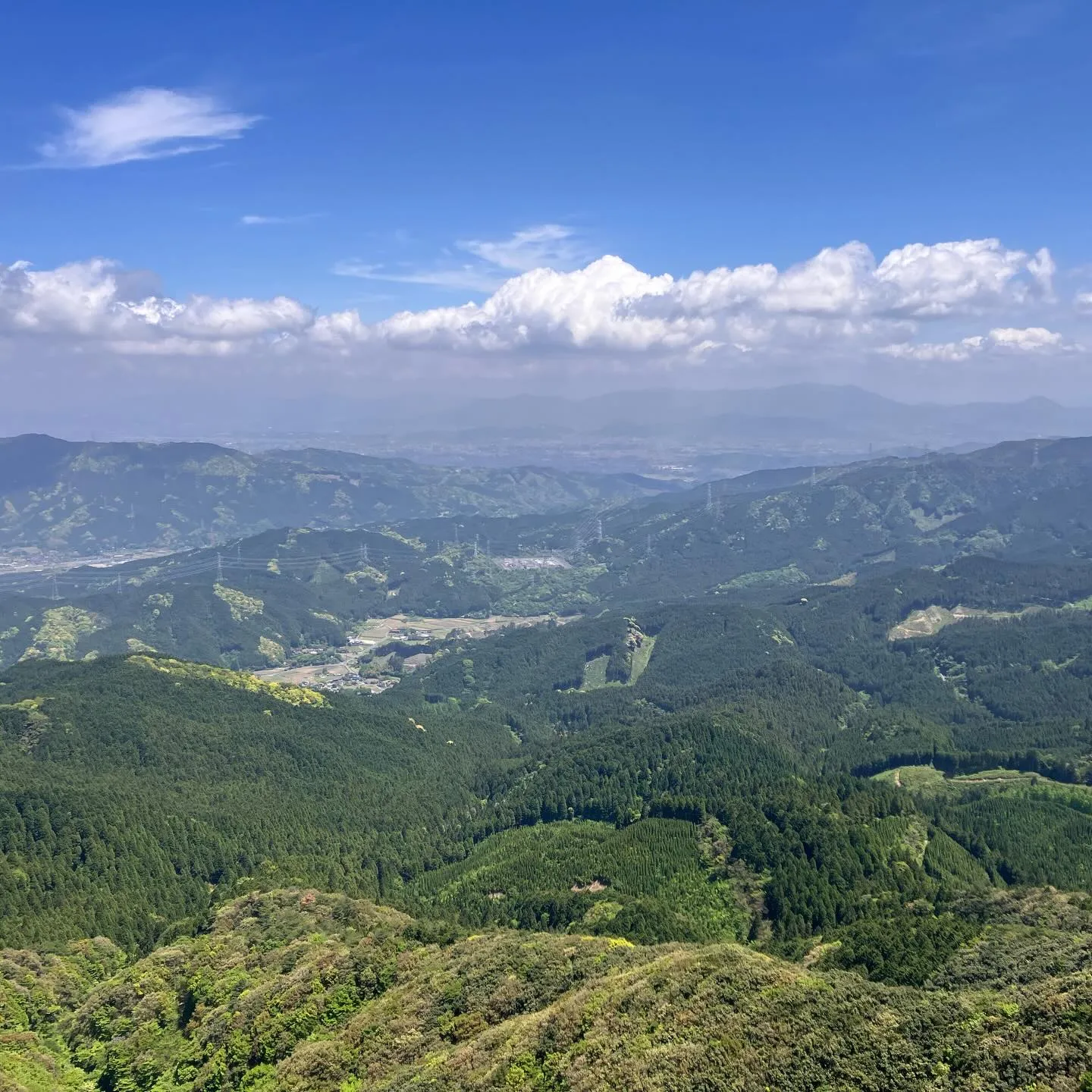 新緑の季節🍃山歩き日和です!