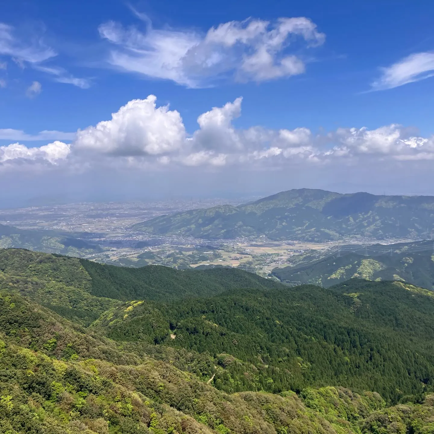 新緑の季節🍃山歩き日和です!