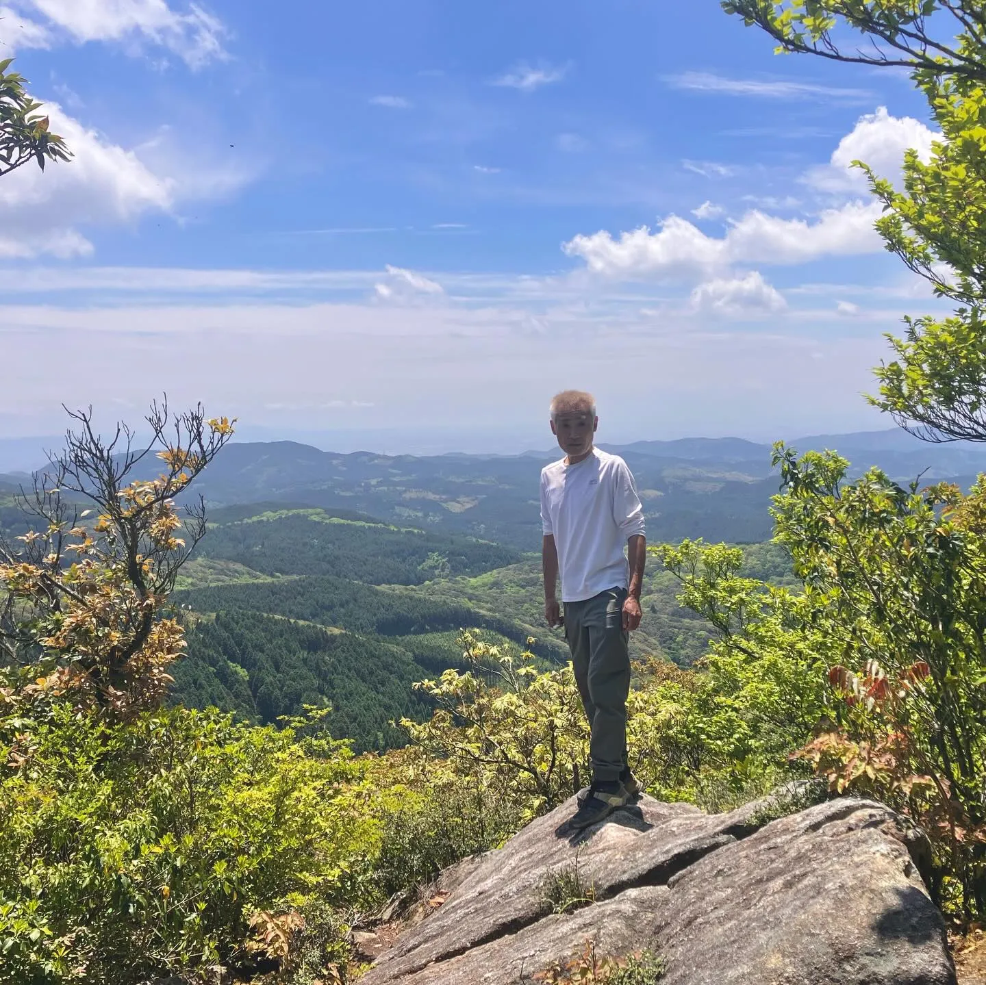 新緑の季節🍃山歩き日和です!