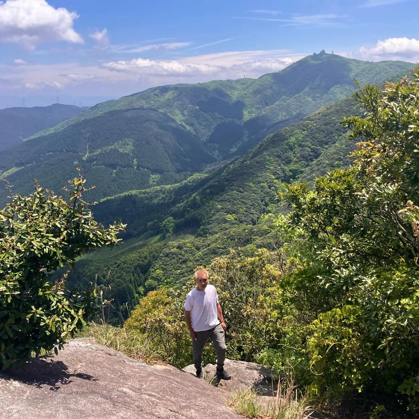 新緑の季節🍃山歩き日和です!