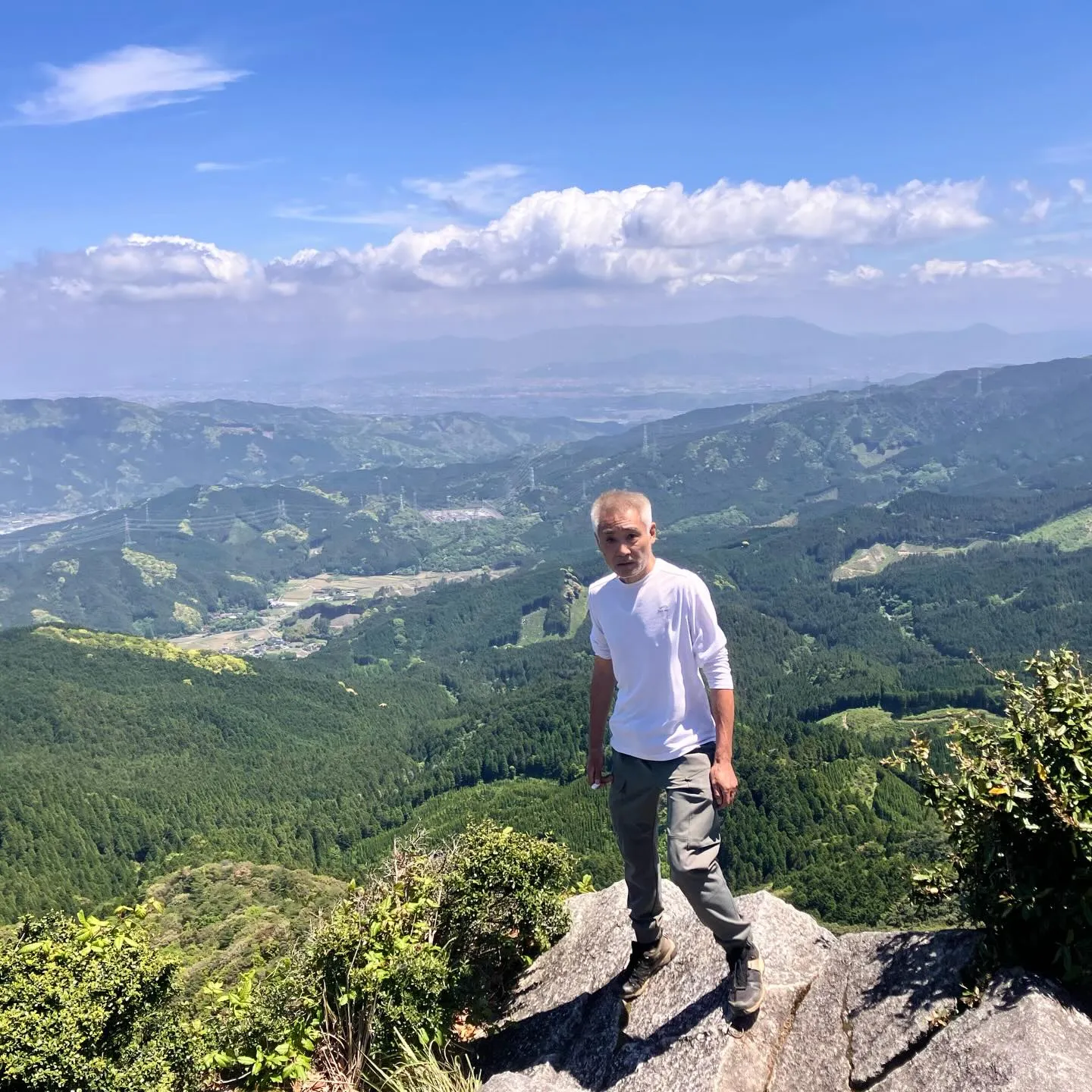 新緑の季節🍃山歩き日和です!