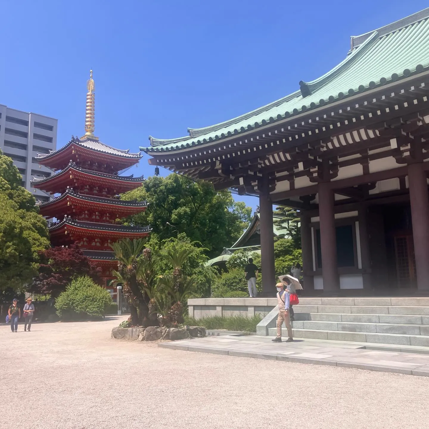 福岡市を まるごと体感しませんか？⛰️
