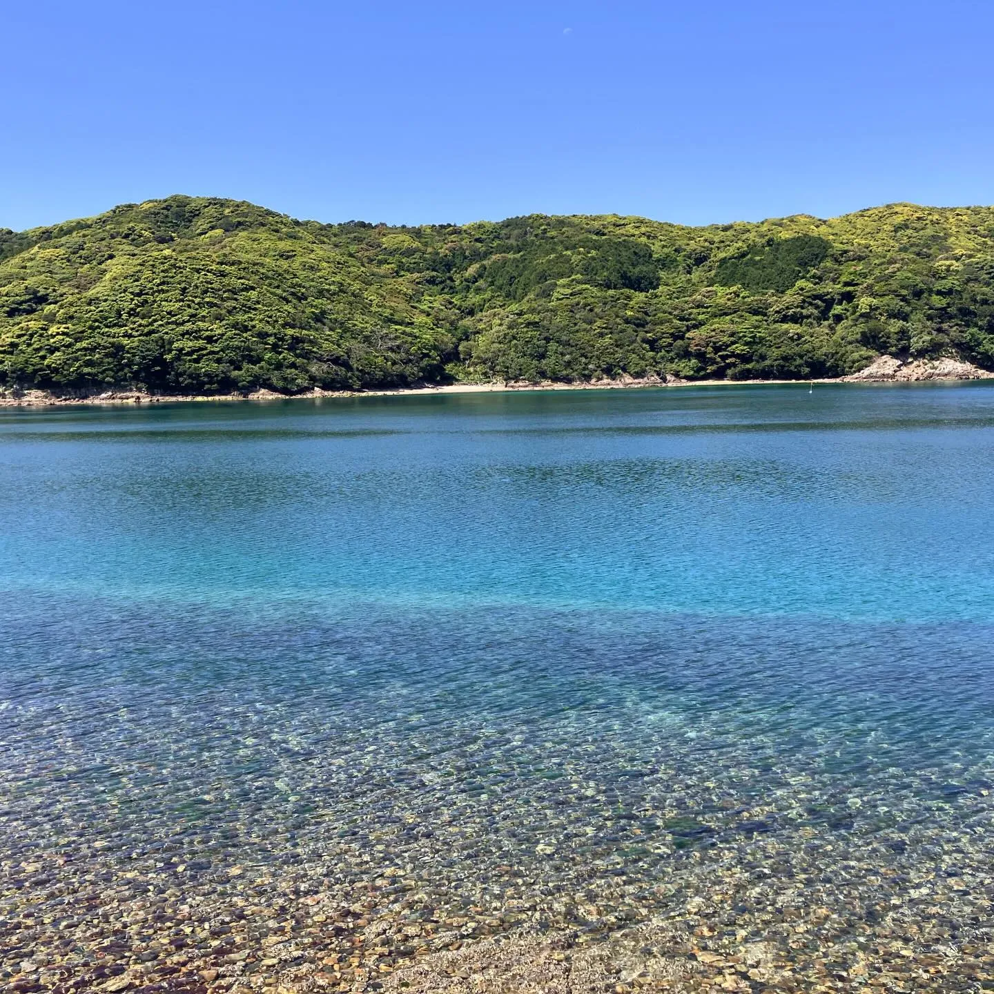 エメラルドグリーンの絶景🌊