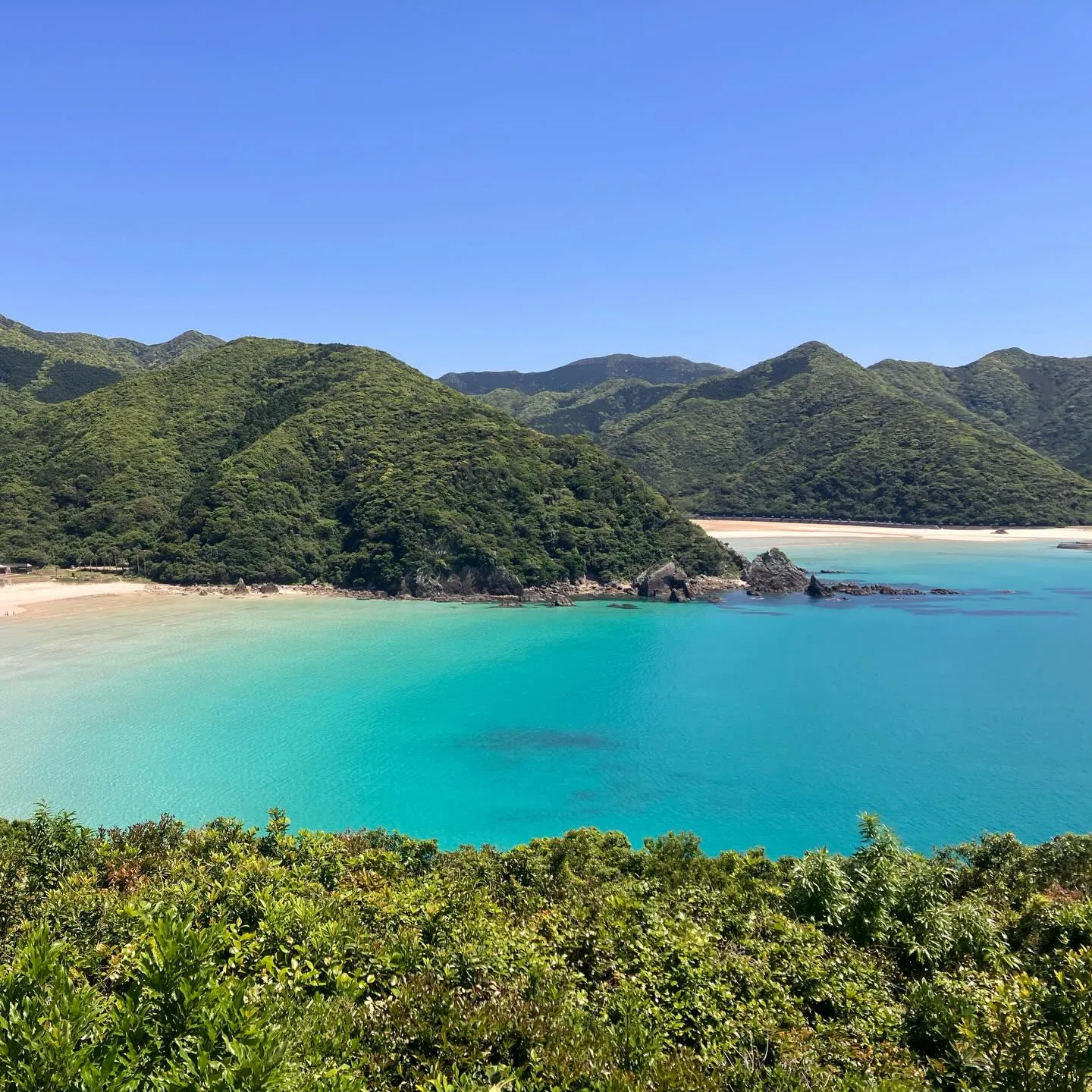 まるで楽園!🌴