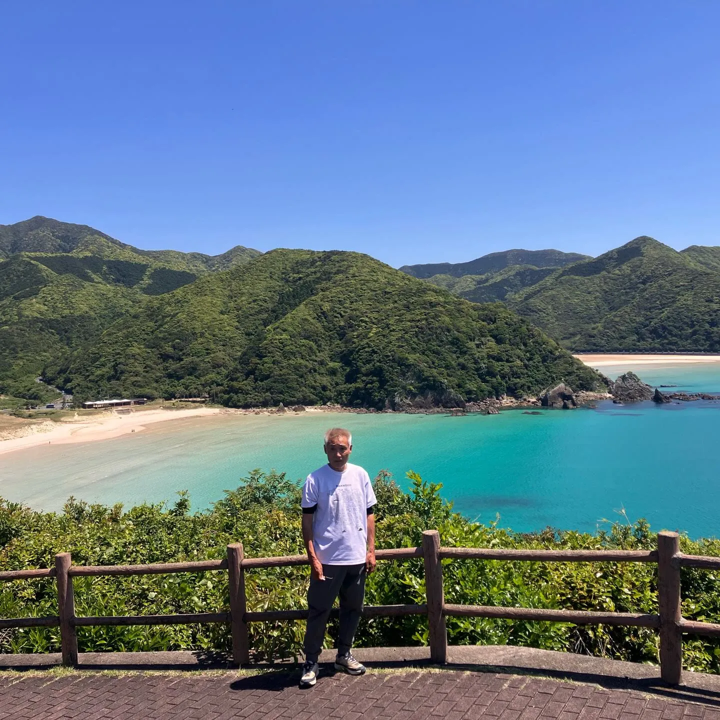 まるで楽園!🌴