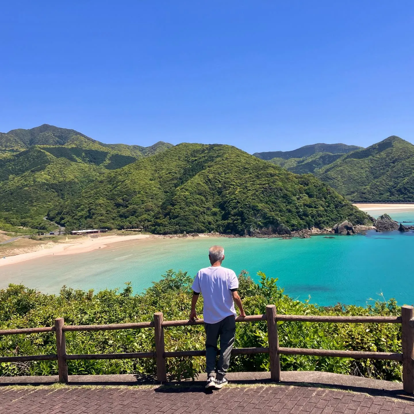まるで楽園!🌴