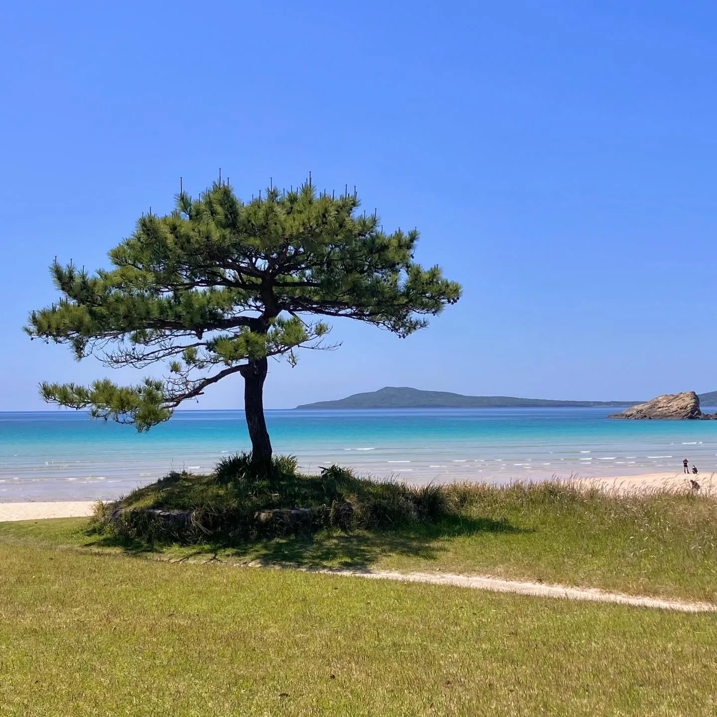 まるで楽園!🌴