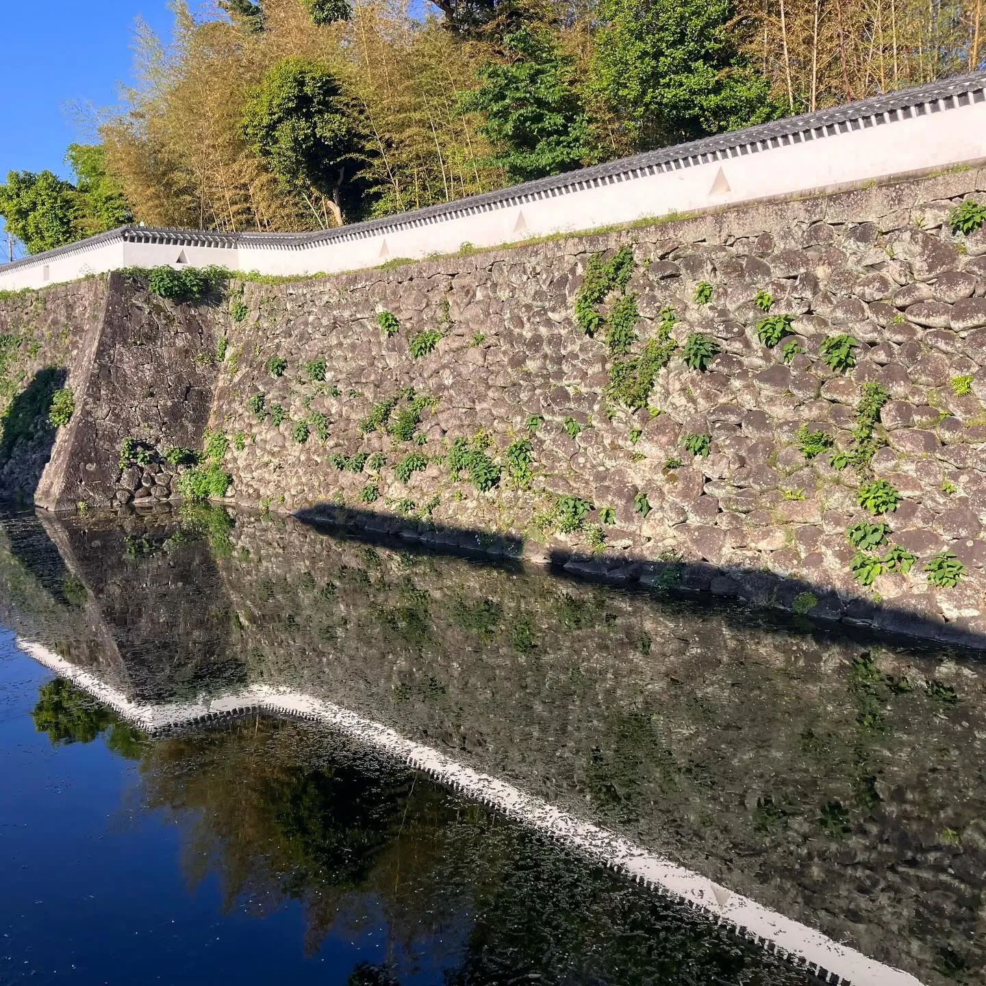 福江島の五島市街を朝の散歩で歴史散策！🚶‍➡️