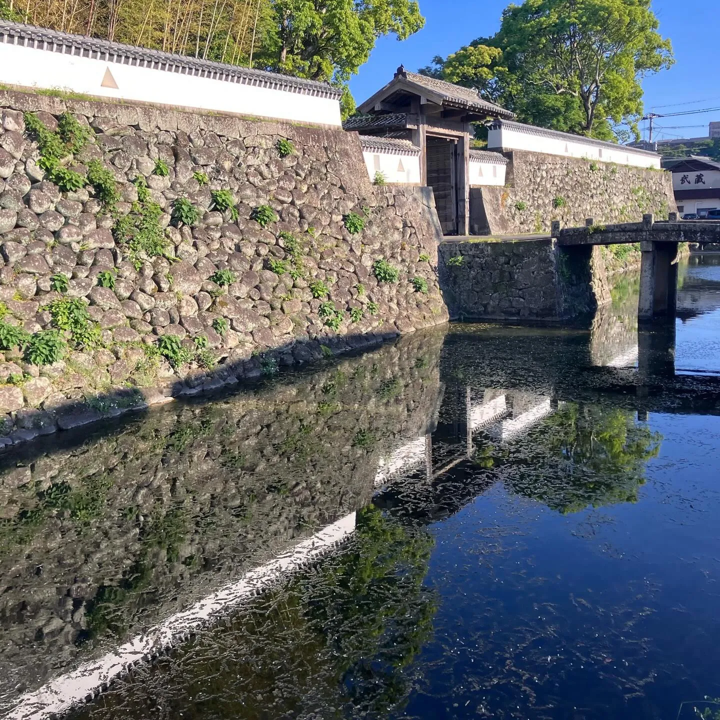 福江島の五島市街を朝の散歩で歴史散策！🚶‍➡️