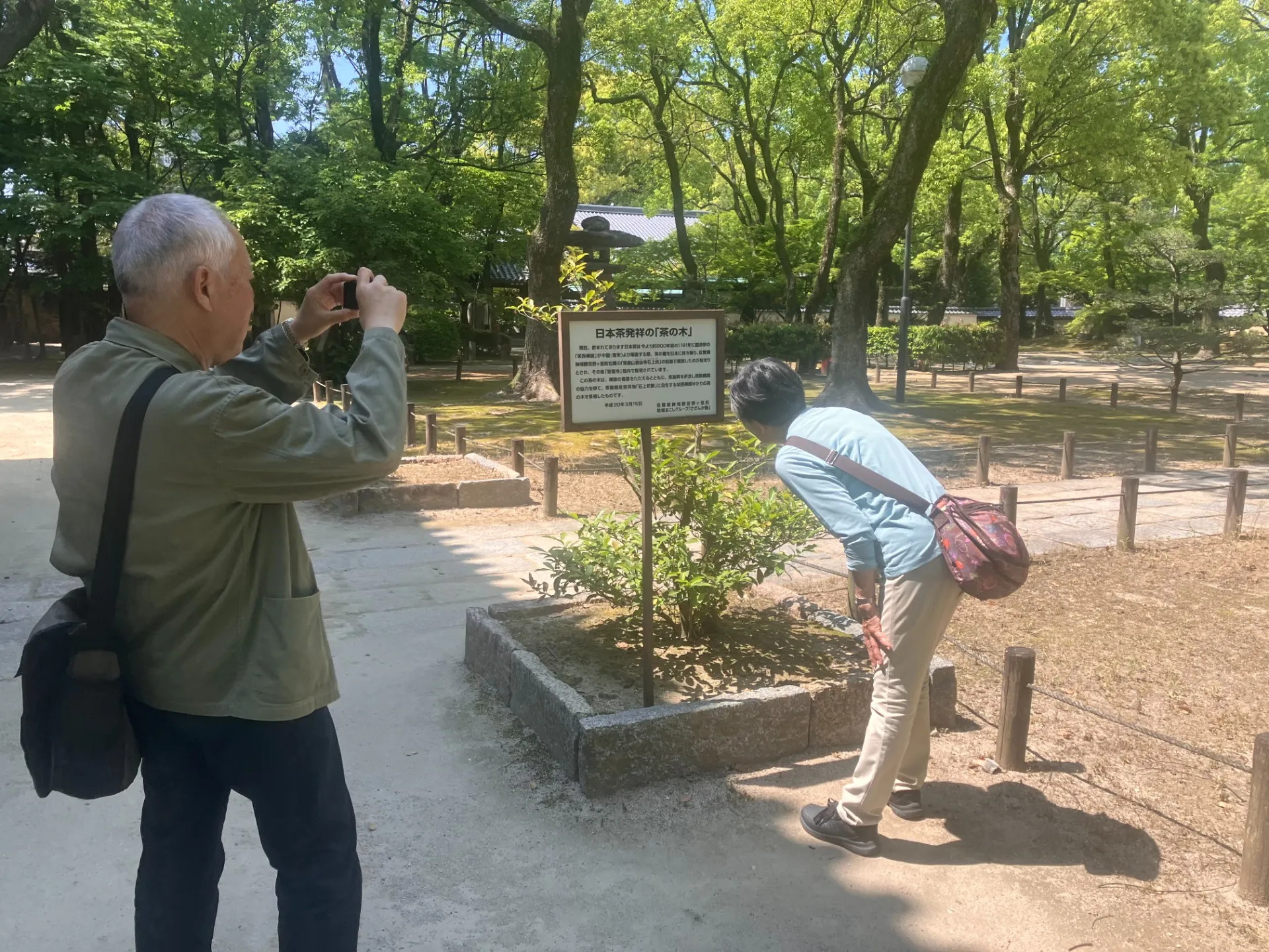 聖福寺 お茶発祥の地