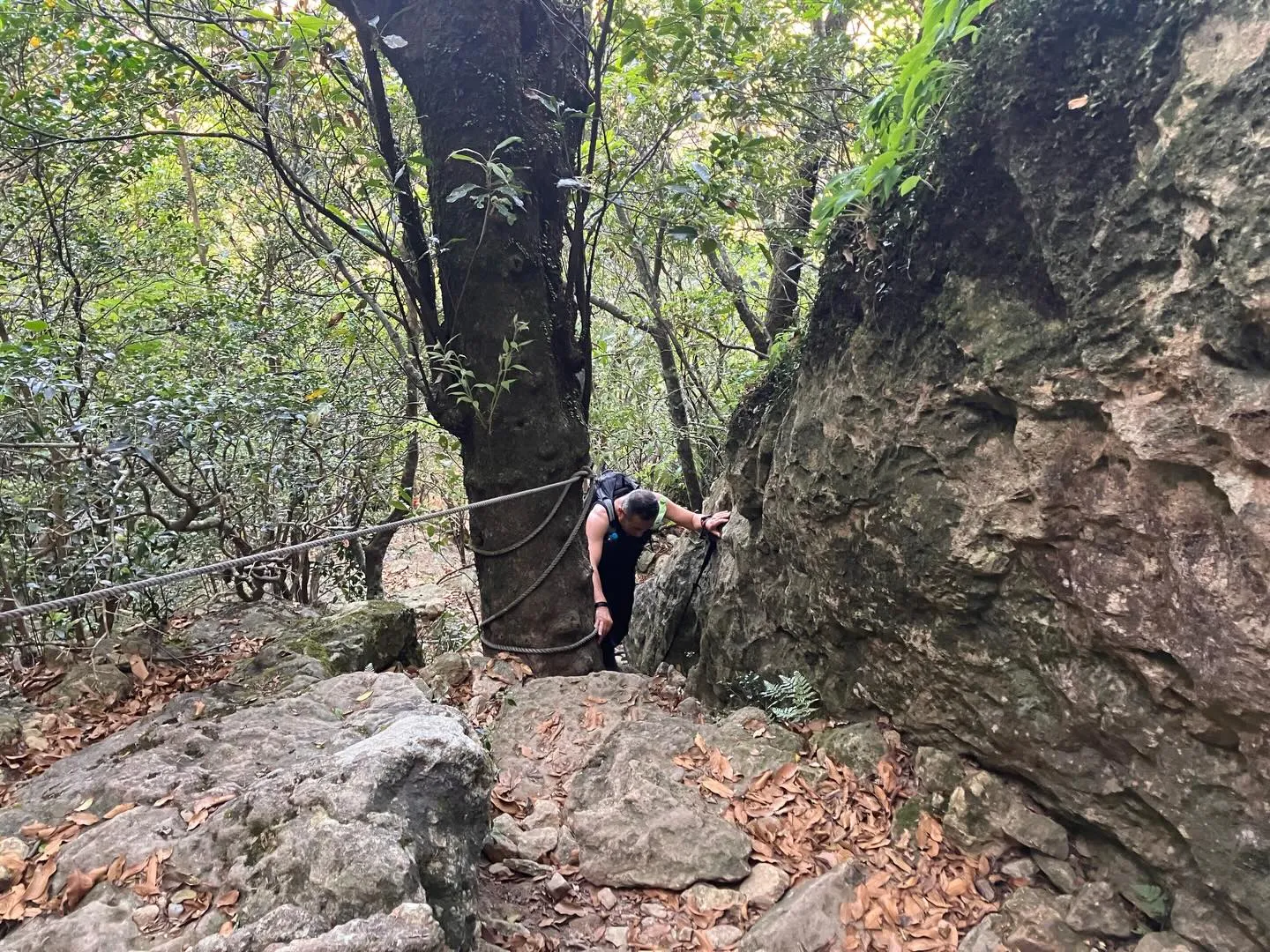対馬の霊峰・白嶽をご案内しました👌