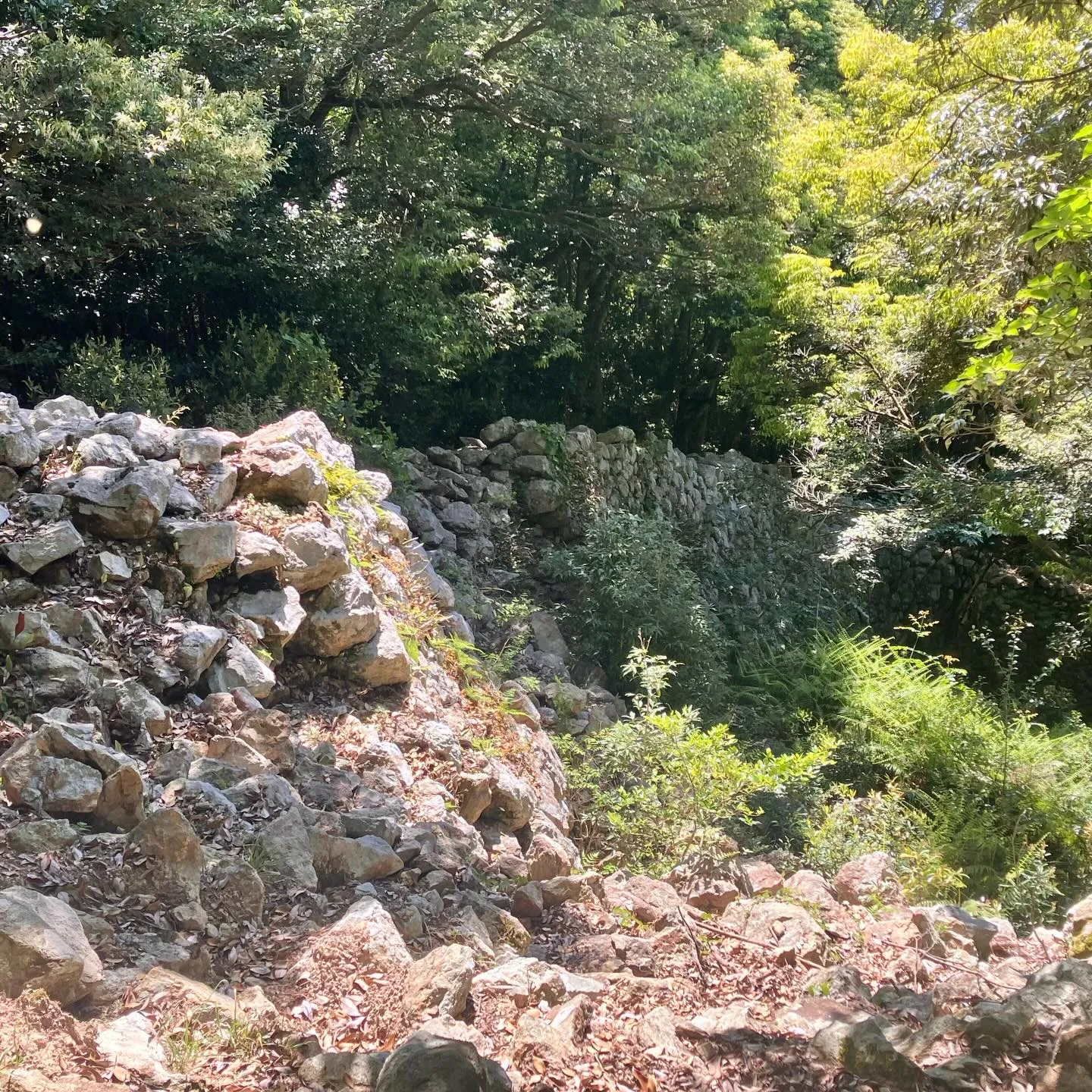 対馬に行って、飛鳥時代に思いを馳せる旅に出かけませんか？