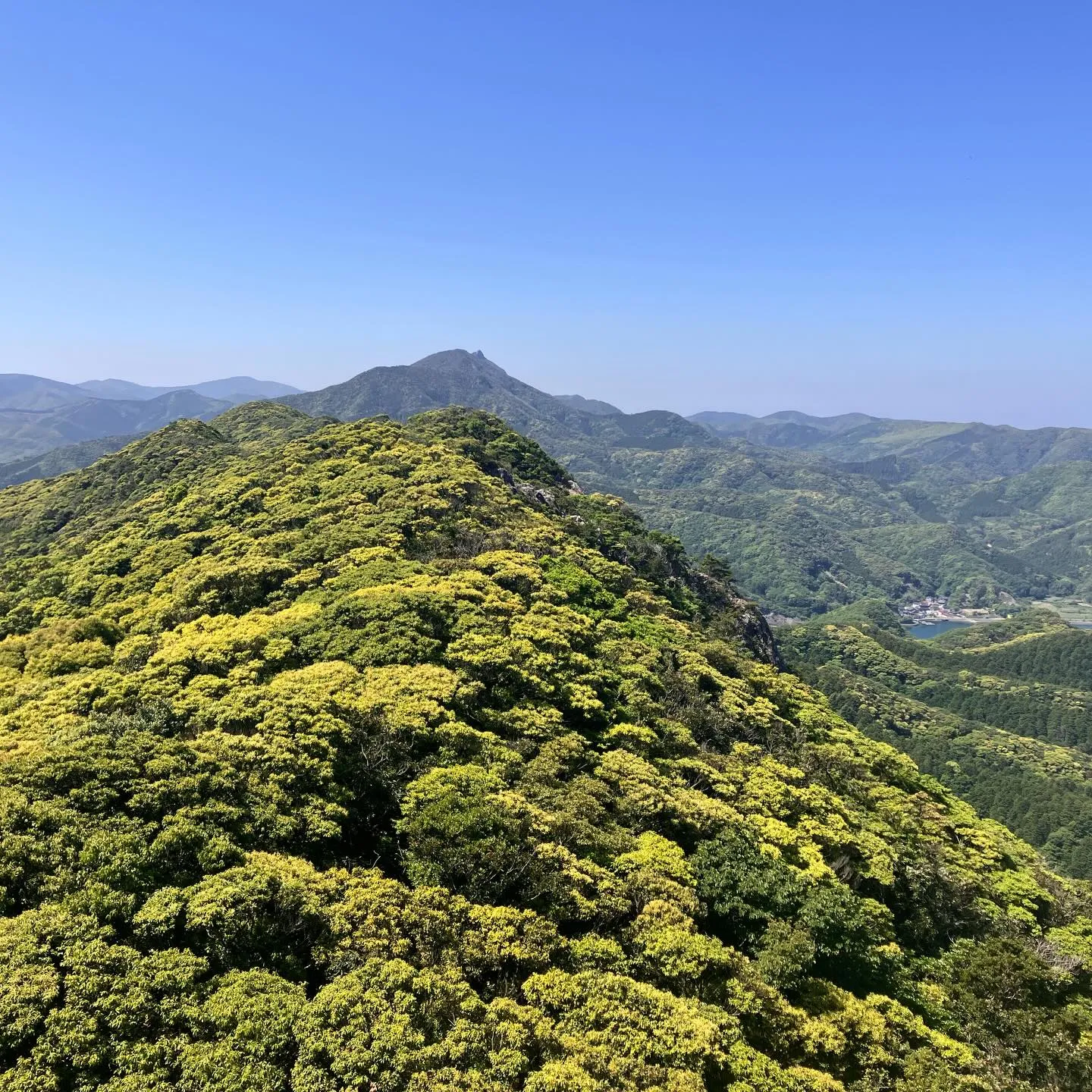 対馬に行って、飛鳥時代に思いを馳せる旅に出かけませんか？