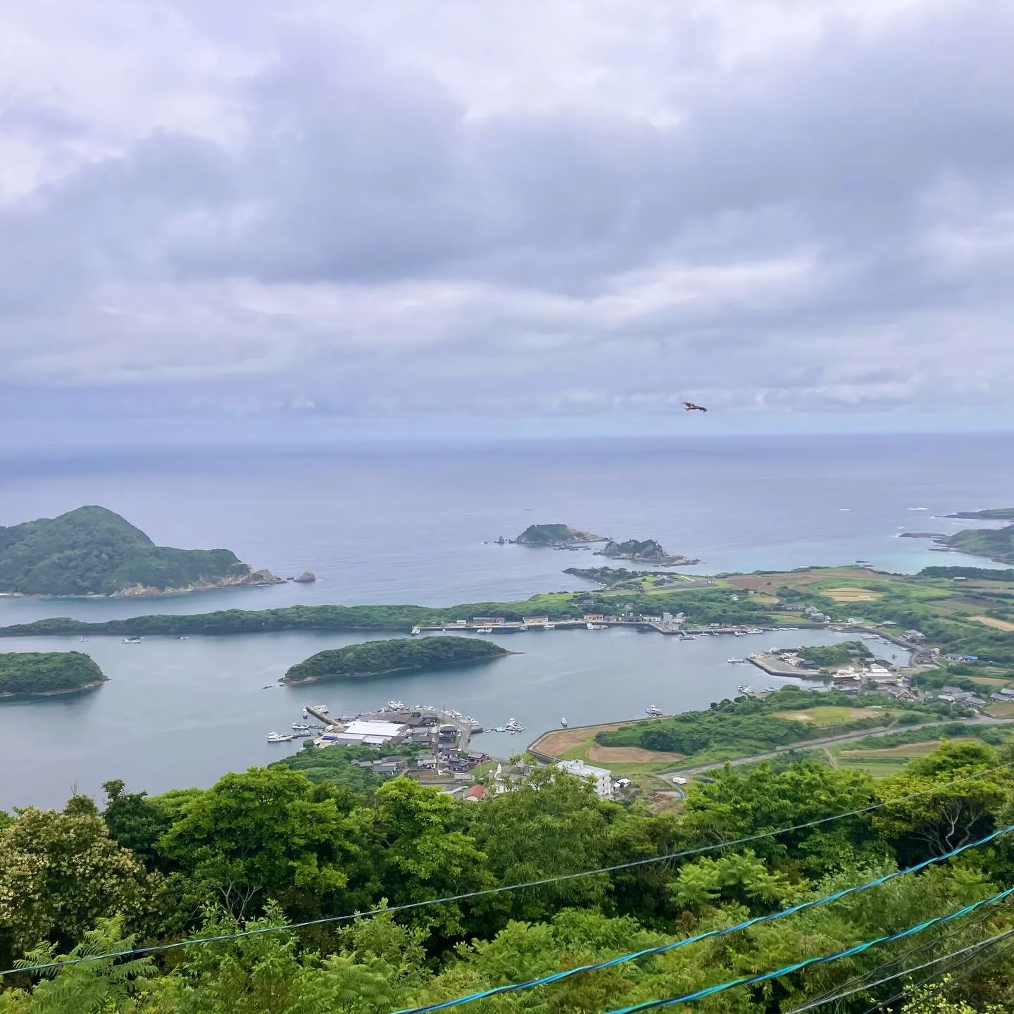五島列島の福江島、87歳の方々の小学校同窓会を添乗ガイド✨