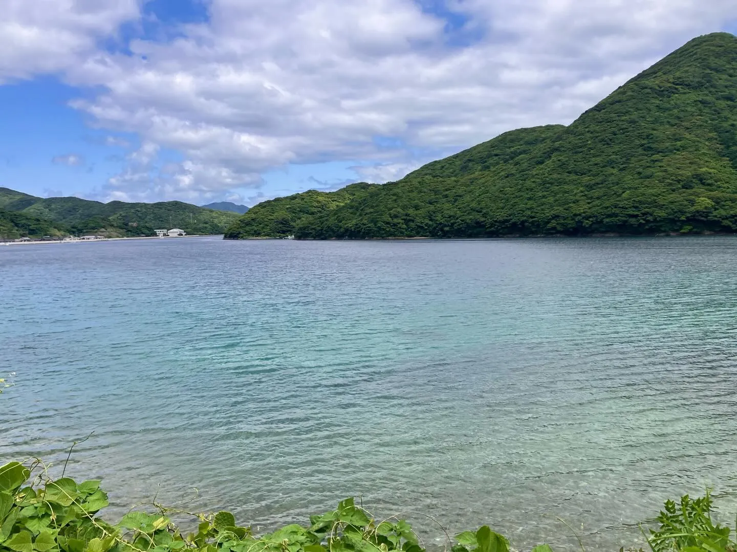 福江島での87歳同窓会旅行、最高の思い出になったと思います🌺...