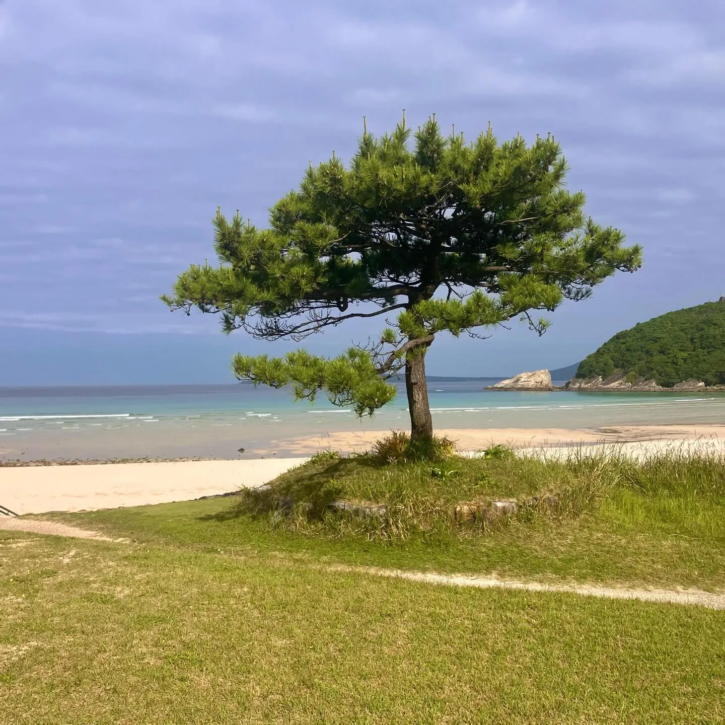 🌊日本一の透明度を誇る五島列島福江島の高浜ビーチにご案内🏖️