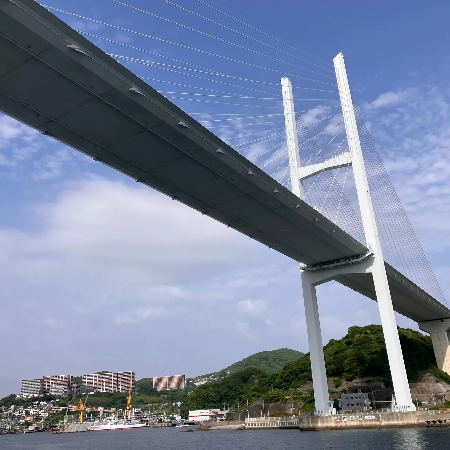 🚢✨福江島からの素敵な船旅の最後🥹