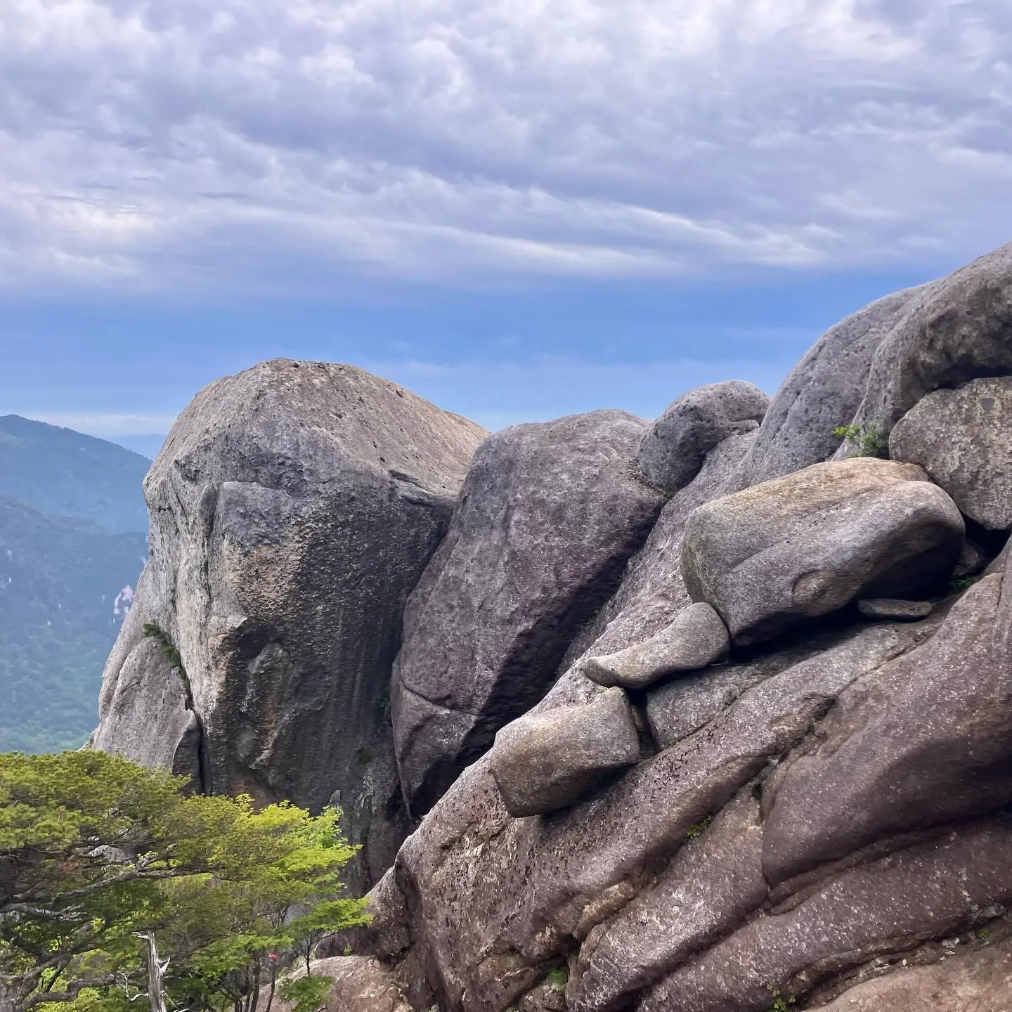 祖母・傾・大崩ユネスコエコパークの大崩山⛰️