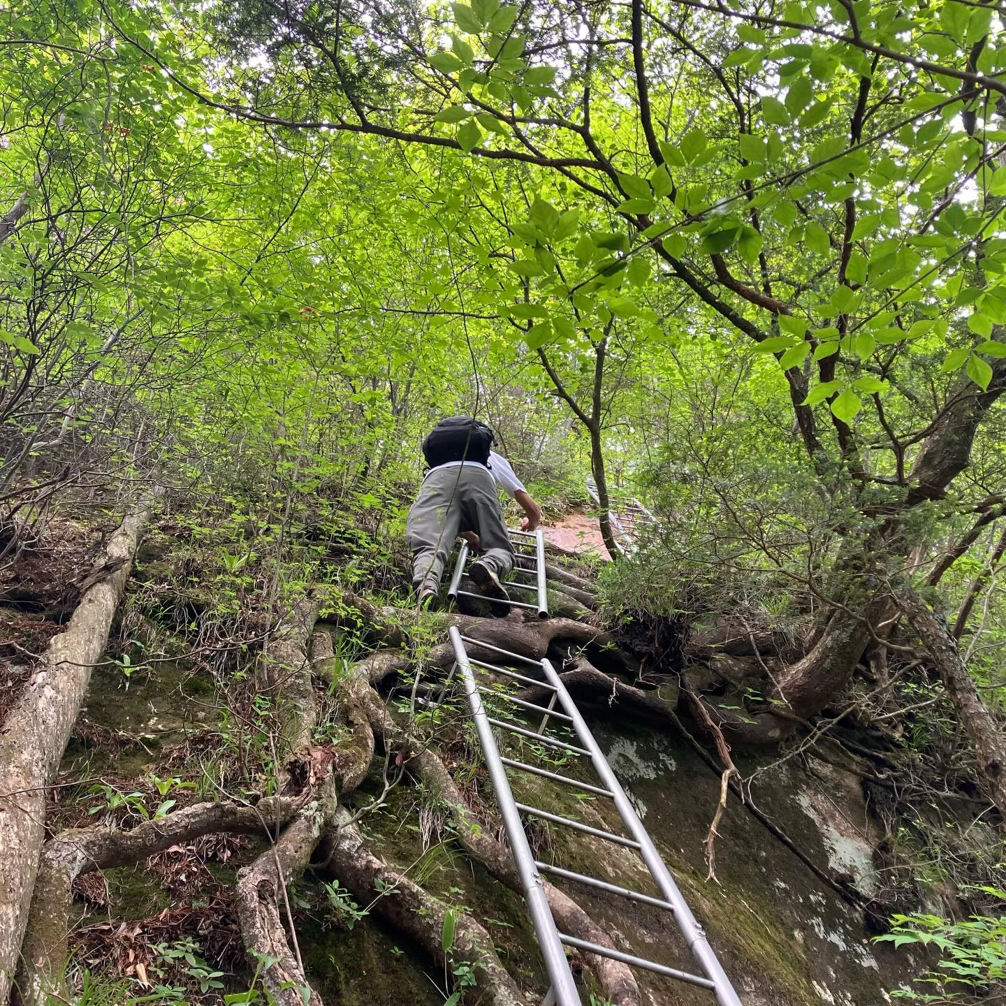 祖母・傾・大崩ユネスコエコパークの大崩山⛰️