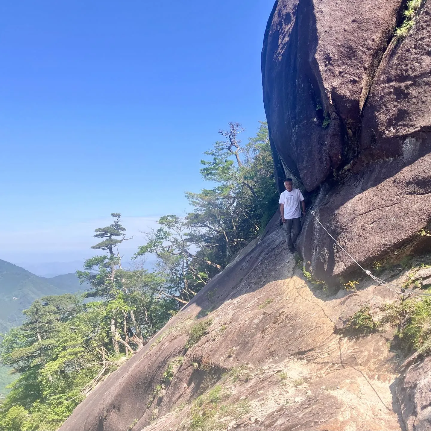 祖母傾大崩ユネスコエコパーク 大崩山の下山路🚶➡️