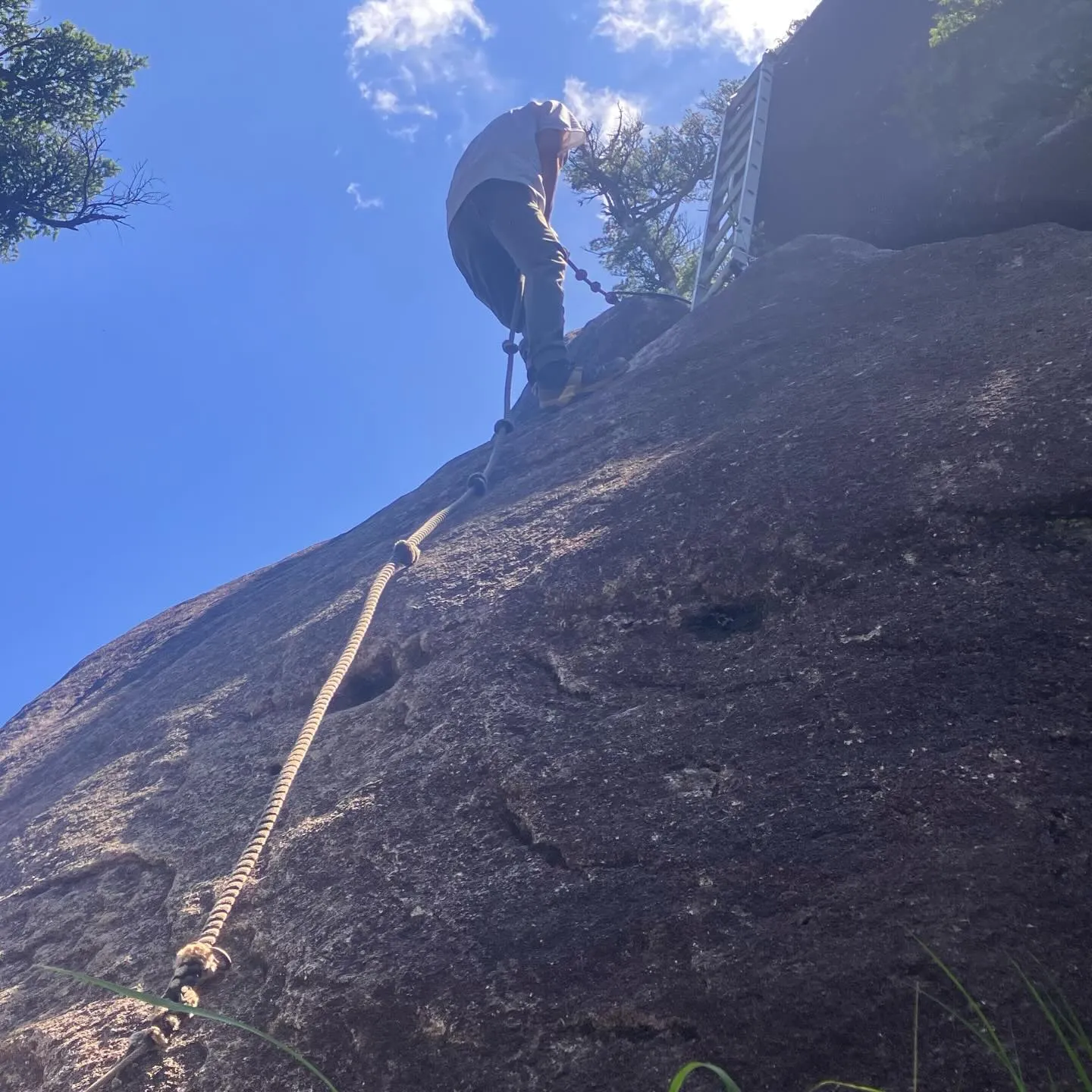 祖母傾大崩ユネスコエコパーク 大崩山の下山路🚶➡️