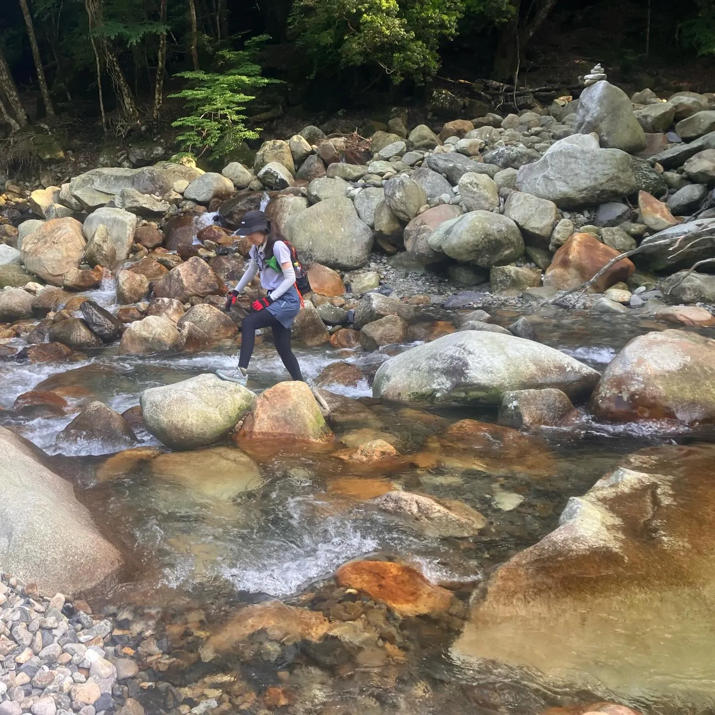祖母傾大崩ユネスコエコパーク 大崩山の下山路🚶➡️