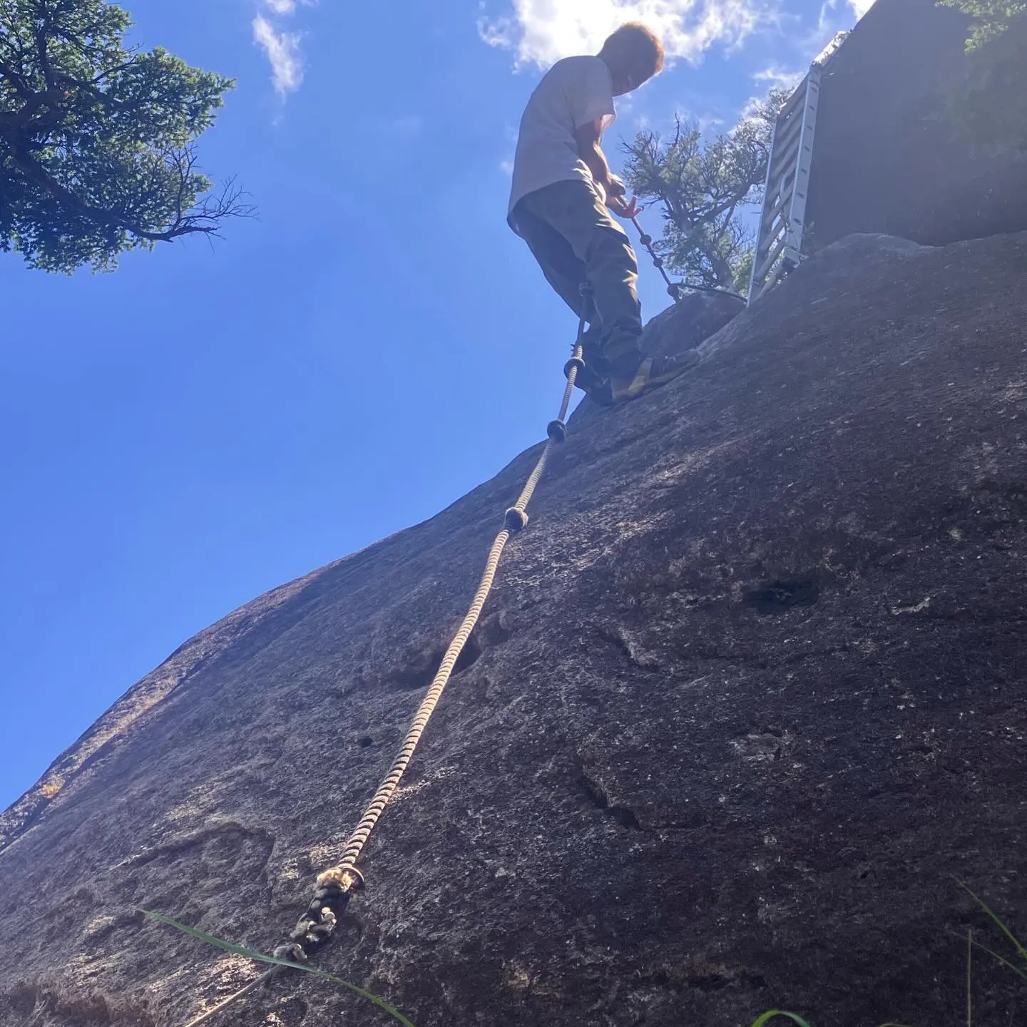 祖母傾大崩ユネスコエコパーク 大崩山の下山路🚶➡️