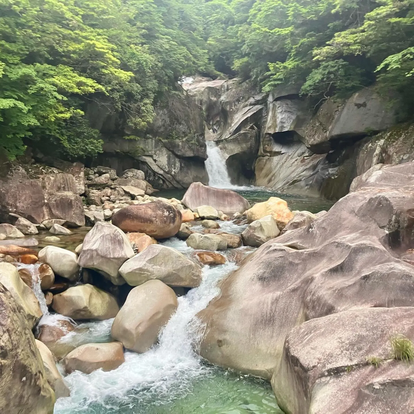 宮崎県の祖母傾大崩ユネスコエコパーク ⛰️