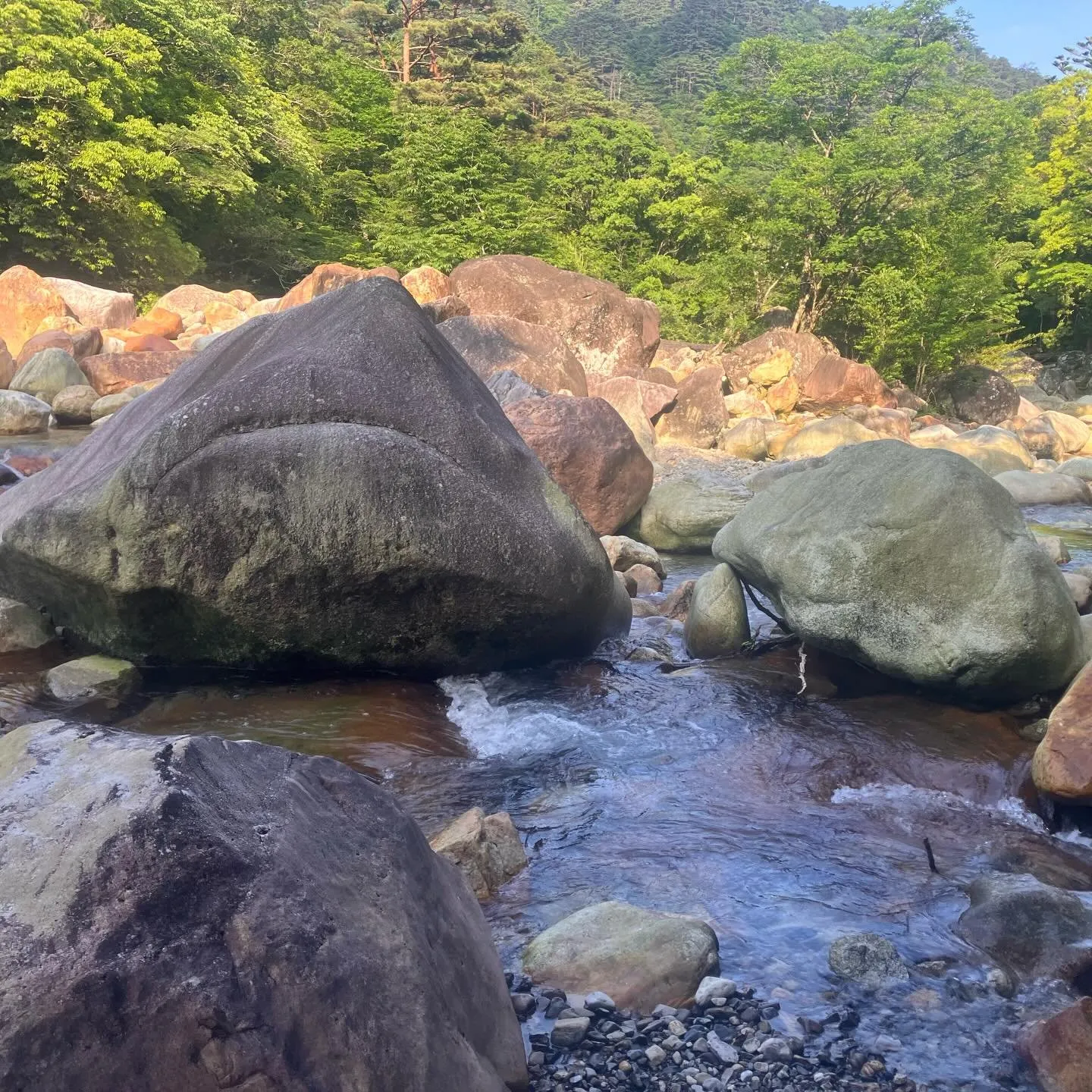 宮崎県の祖母傾大崩ユネスコエコパーク ⛰️