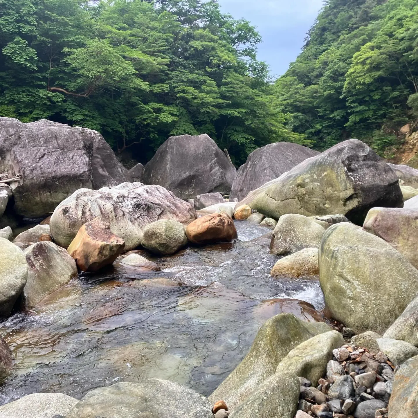 宮崎県の祖母傾大崩ユネスコエコパーク ⛰️