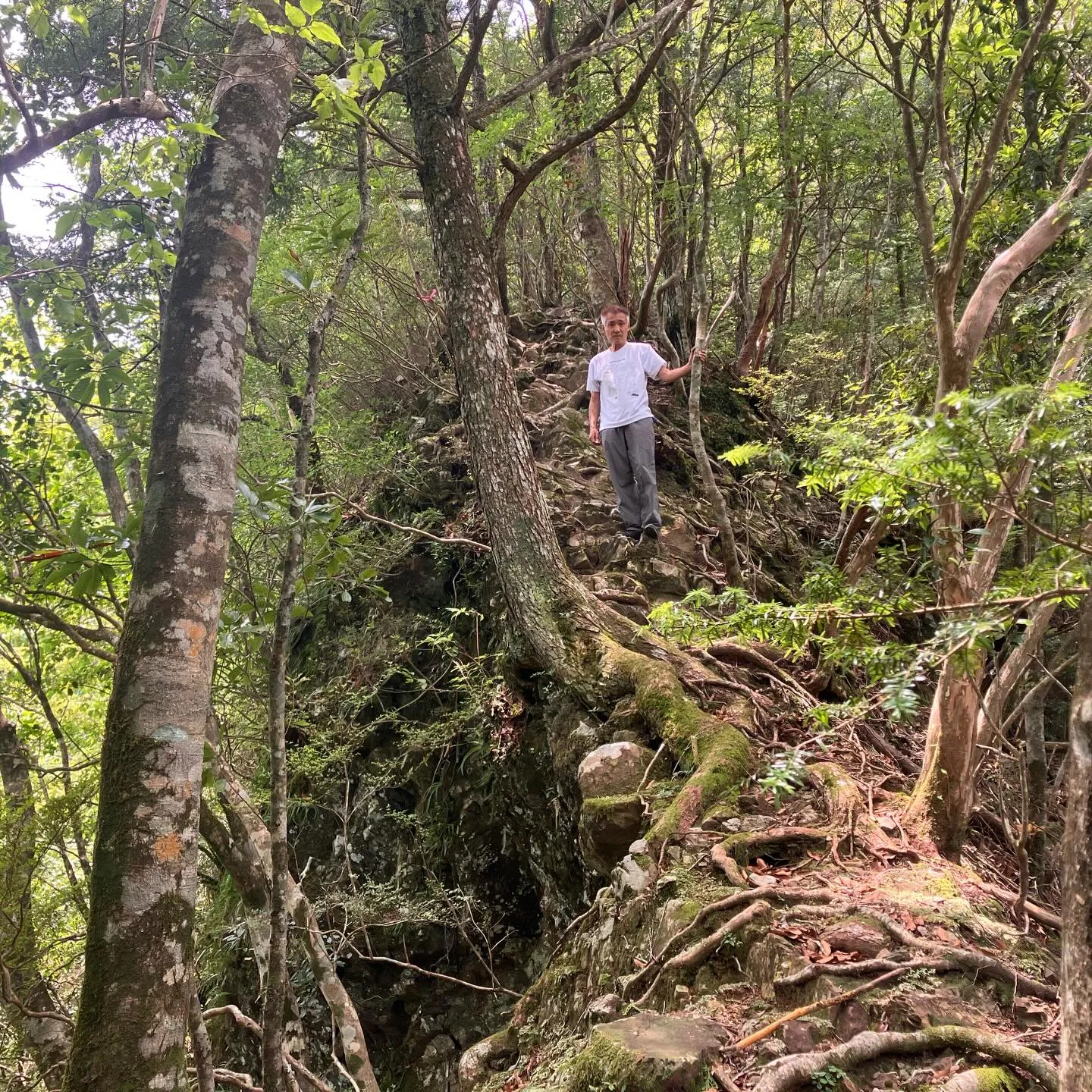 全国7位の平均斜度 宮崎県の地蔵岳⛰️