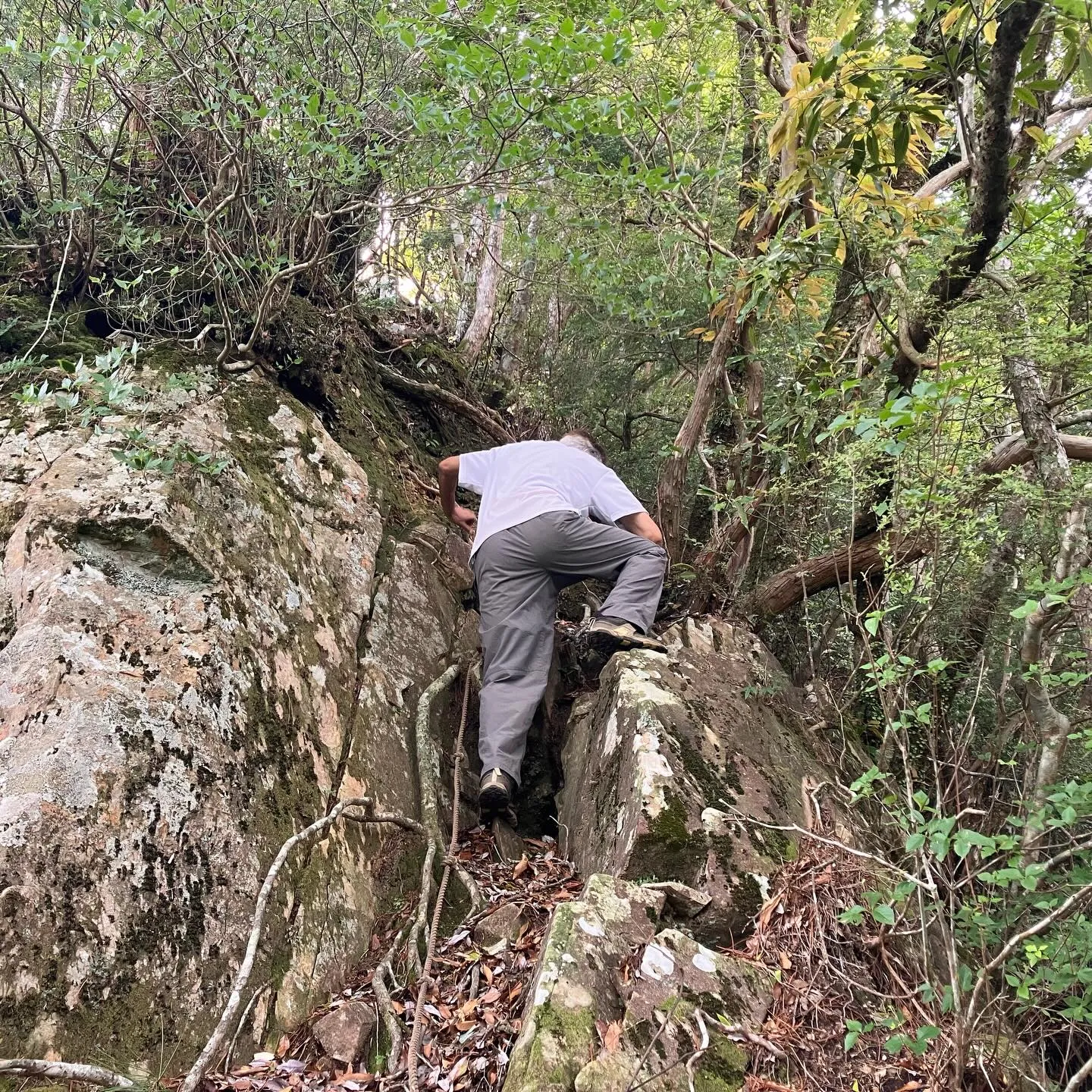 全国7位の平均斜度 宮崎県の地蔵岳⛰️