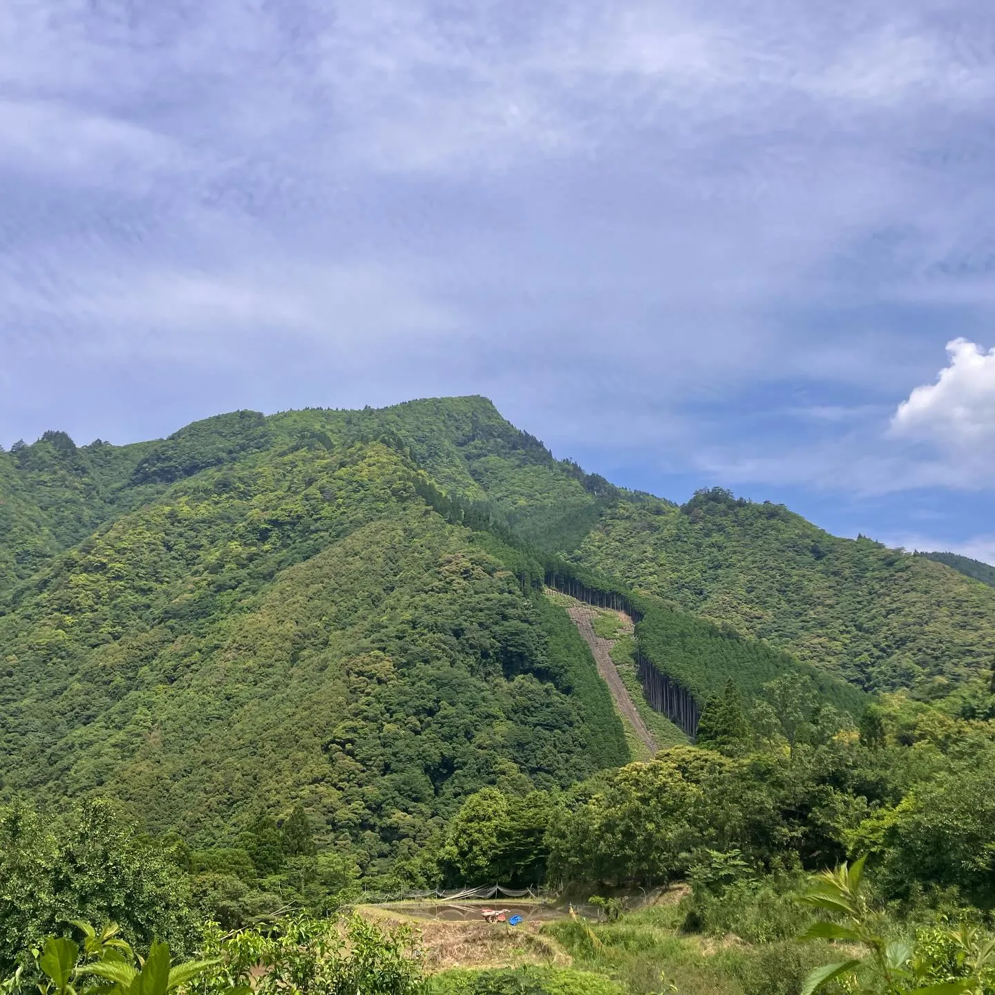 全国7位の平均斜度 宮崎県の地蔵岳⛰️