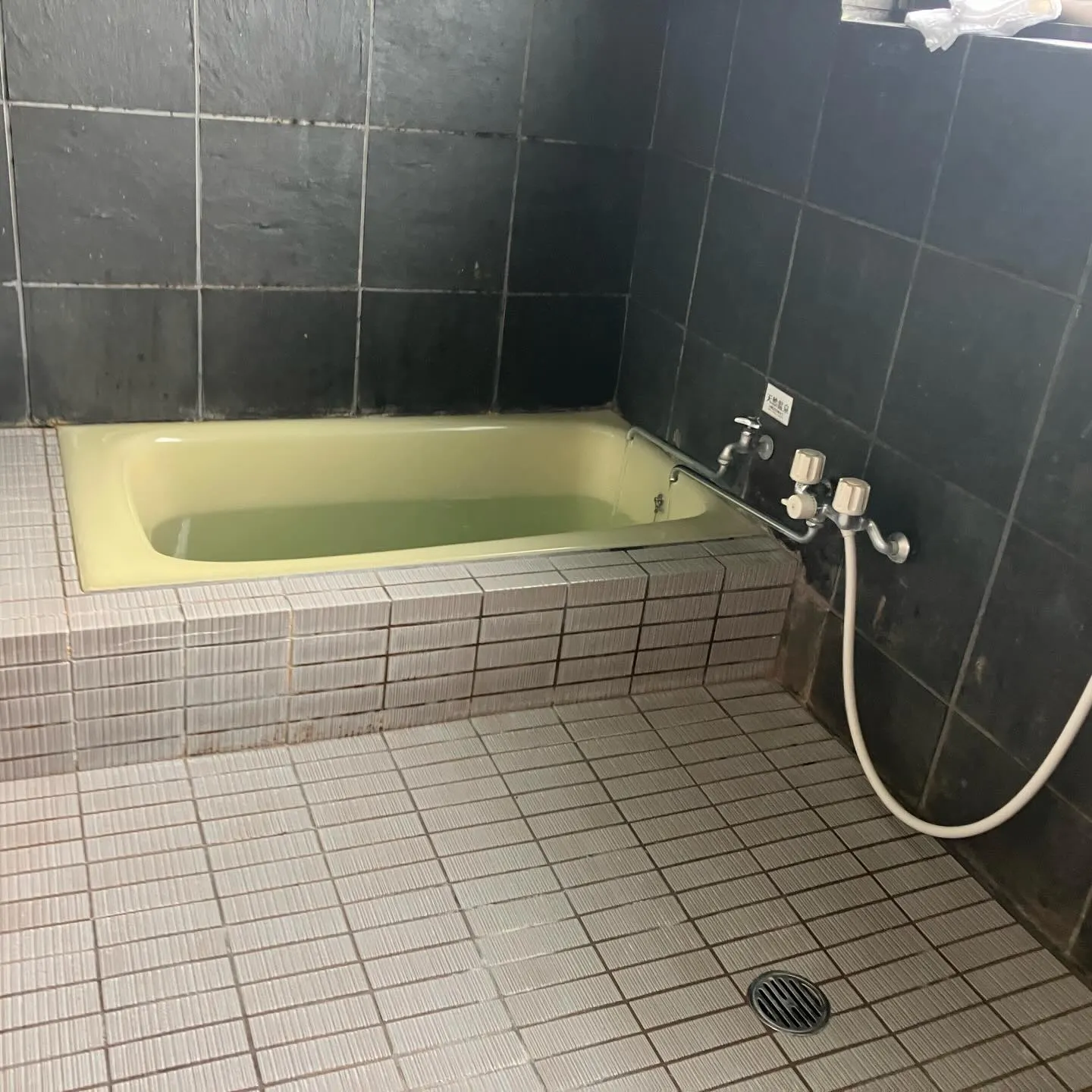 宮崎県西都市で素敵な旅を体験しませんか？🌿