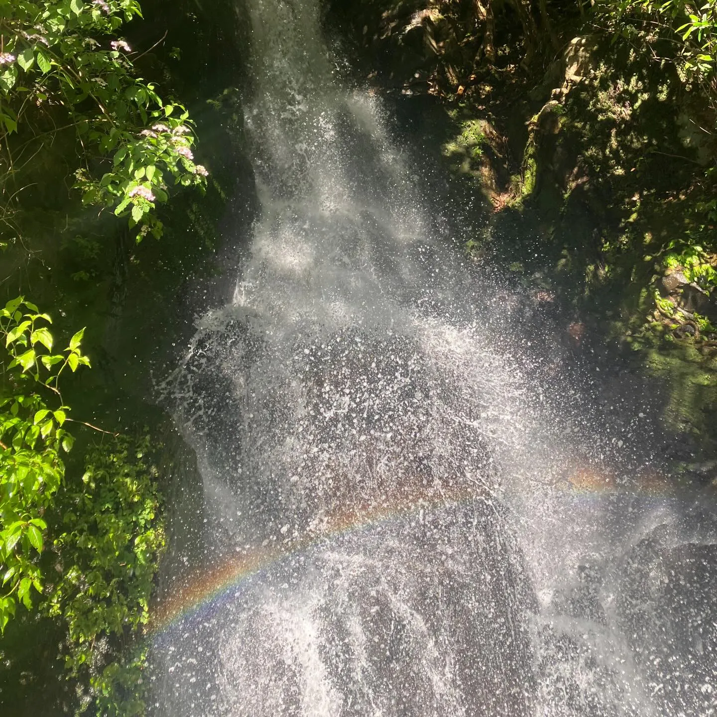 宮崎県西都市の尾鈴山瀑布群✨