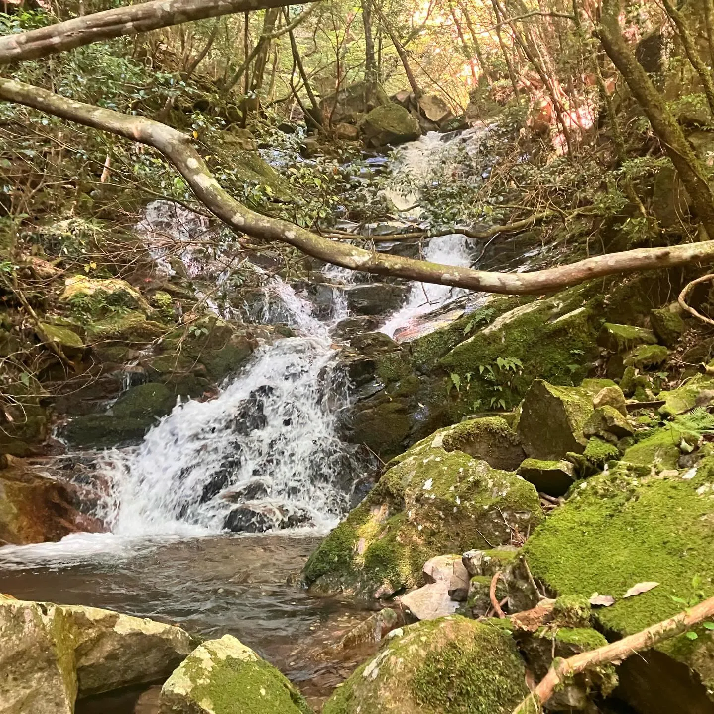 宮崎県西都市の尾鈴山瀑布群✨