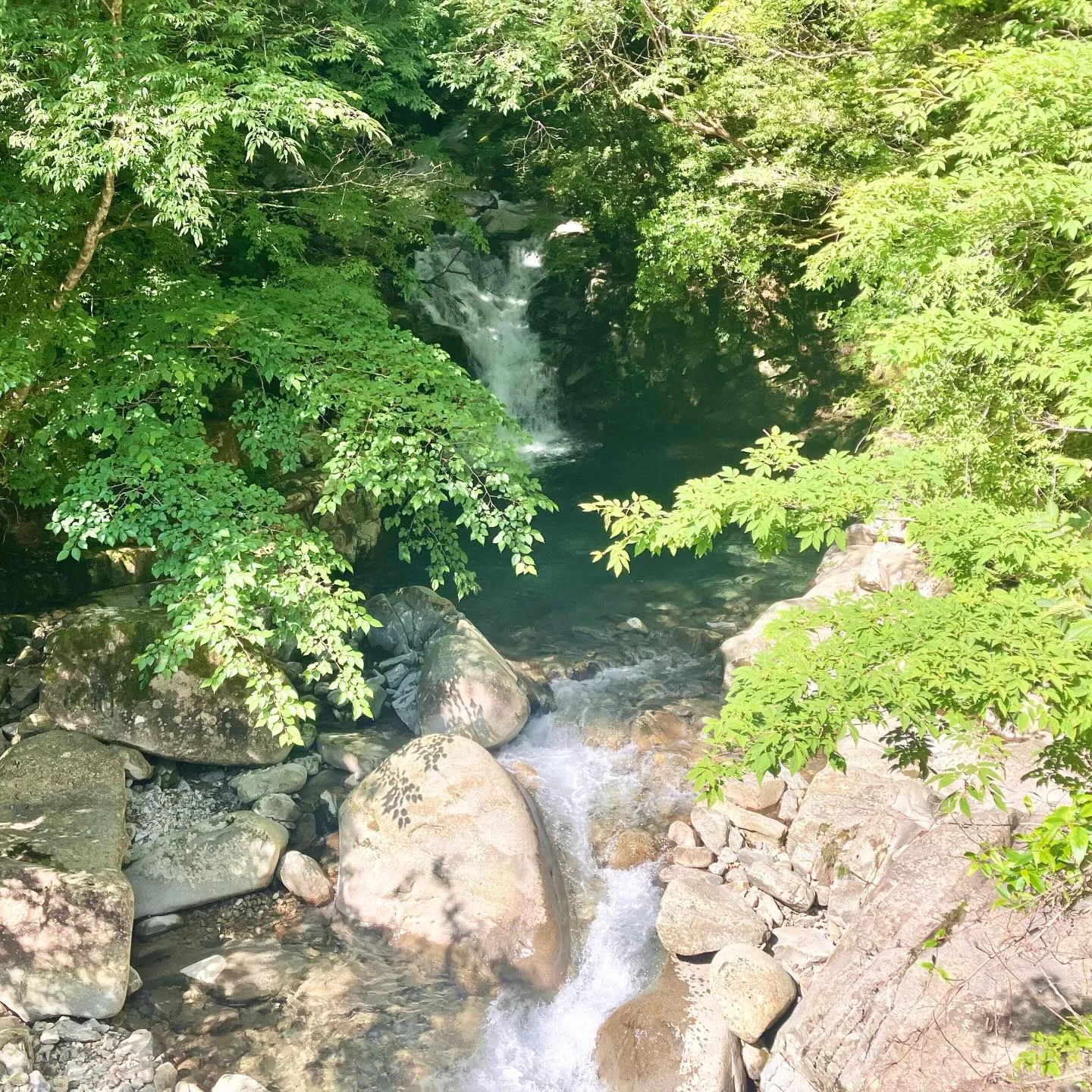 宮崎県西都市の尾鈴山瀑布群✨