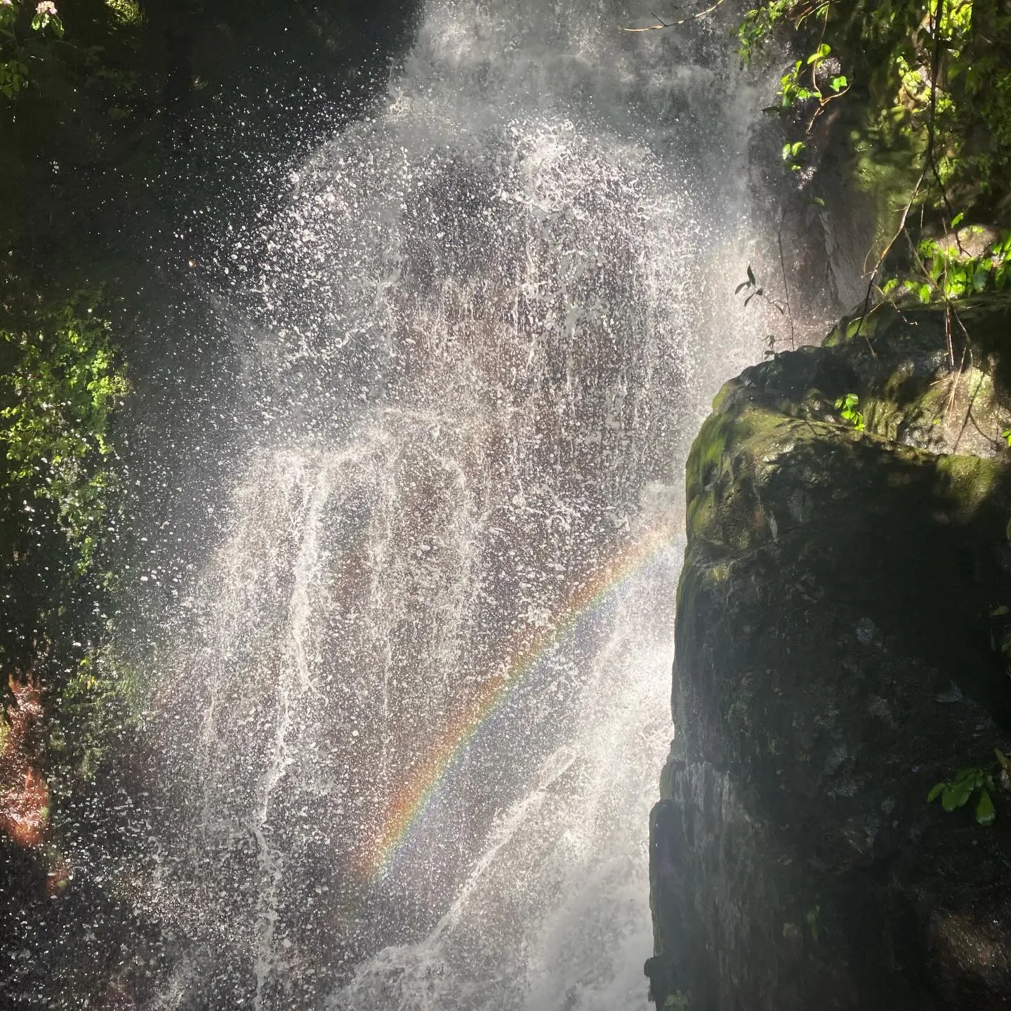 宮崎県西都市の尾鈴山瀑布群✨