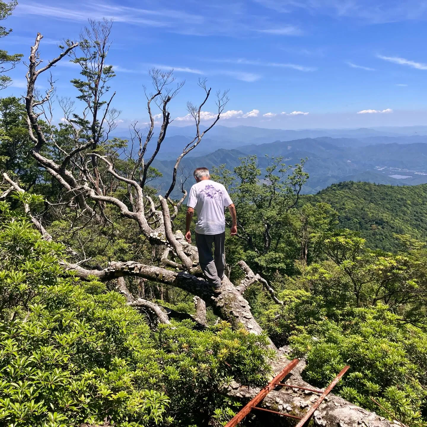 宮崎県の尾鈴山は、日本二百名山⛰️
