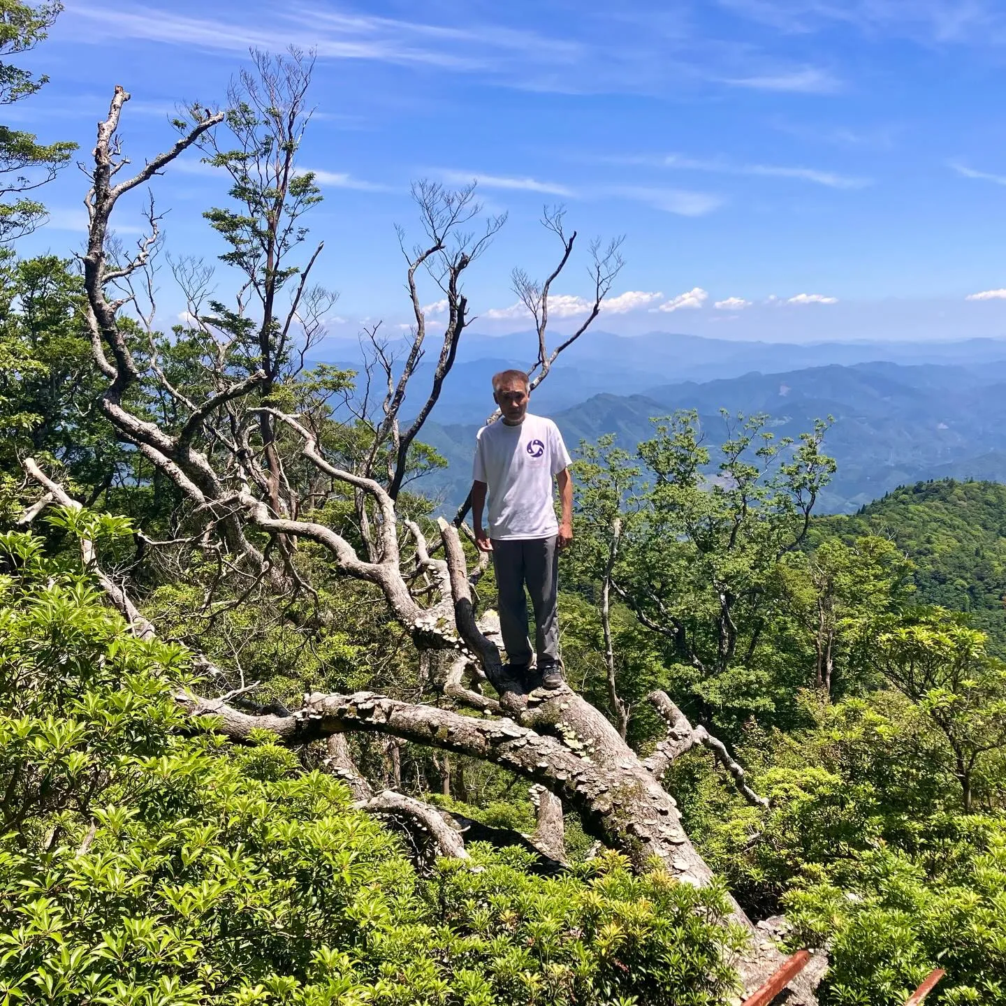 宮崎県の尾鈴山は、日本二百名山⛰️