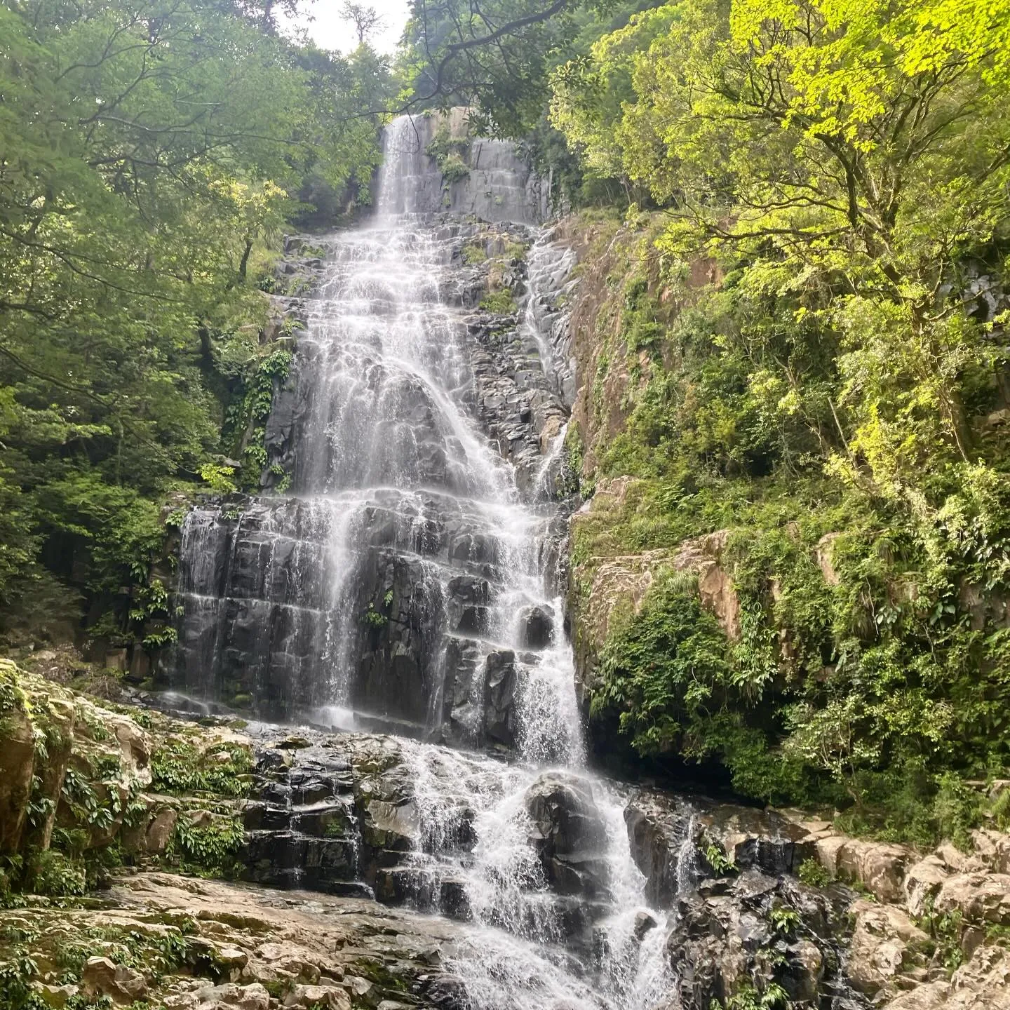 宮崎県の尾鈴山は、日本二百名山⛰️