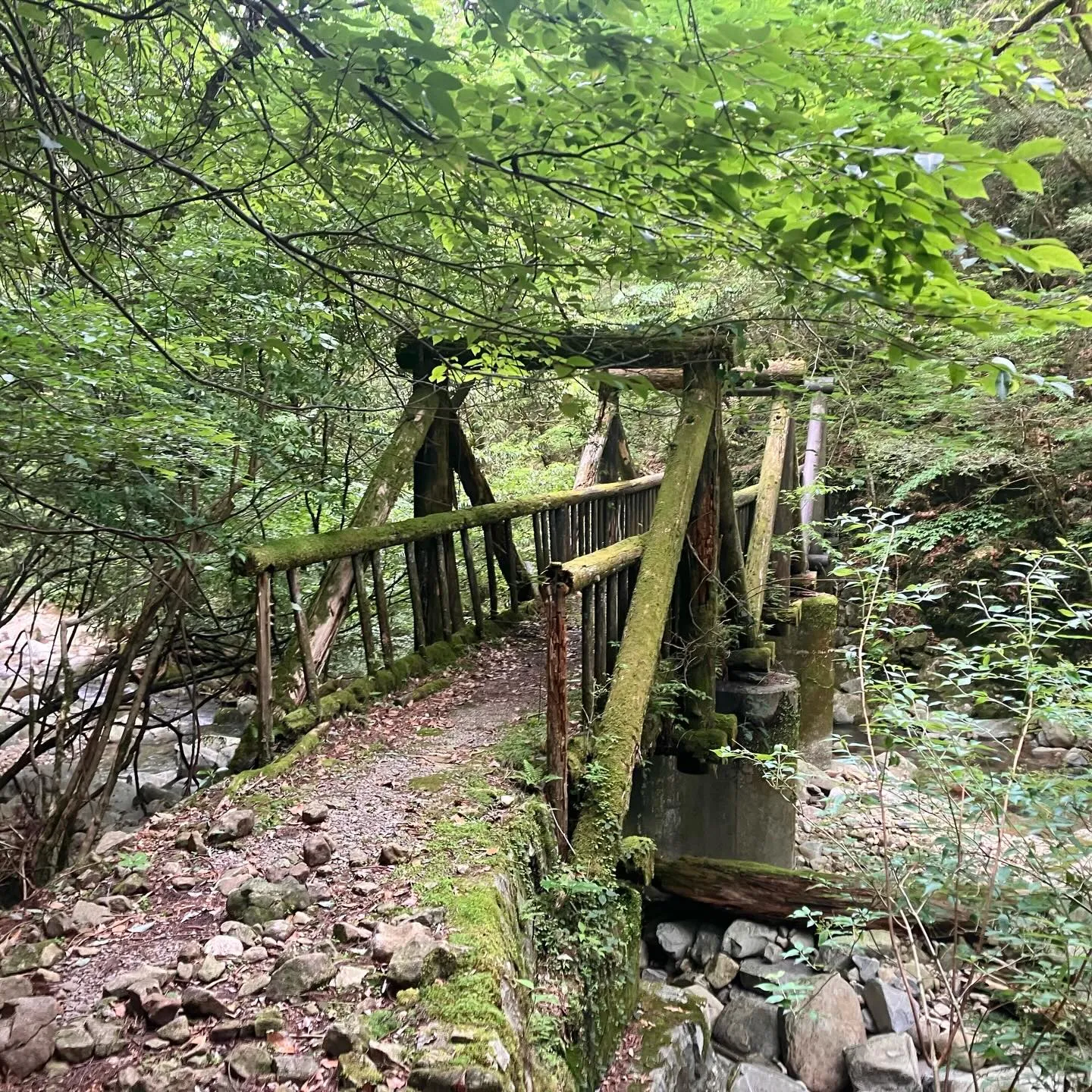 宮崎県の尾鈴山は、日本二百名山⛰️